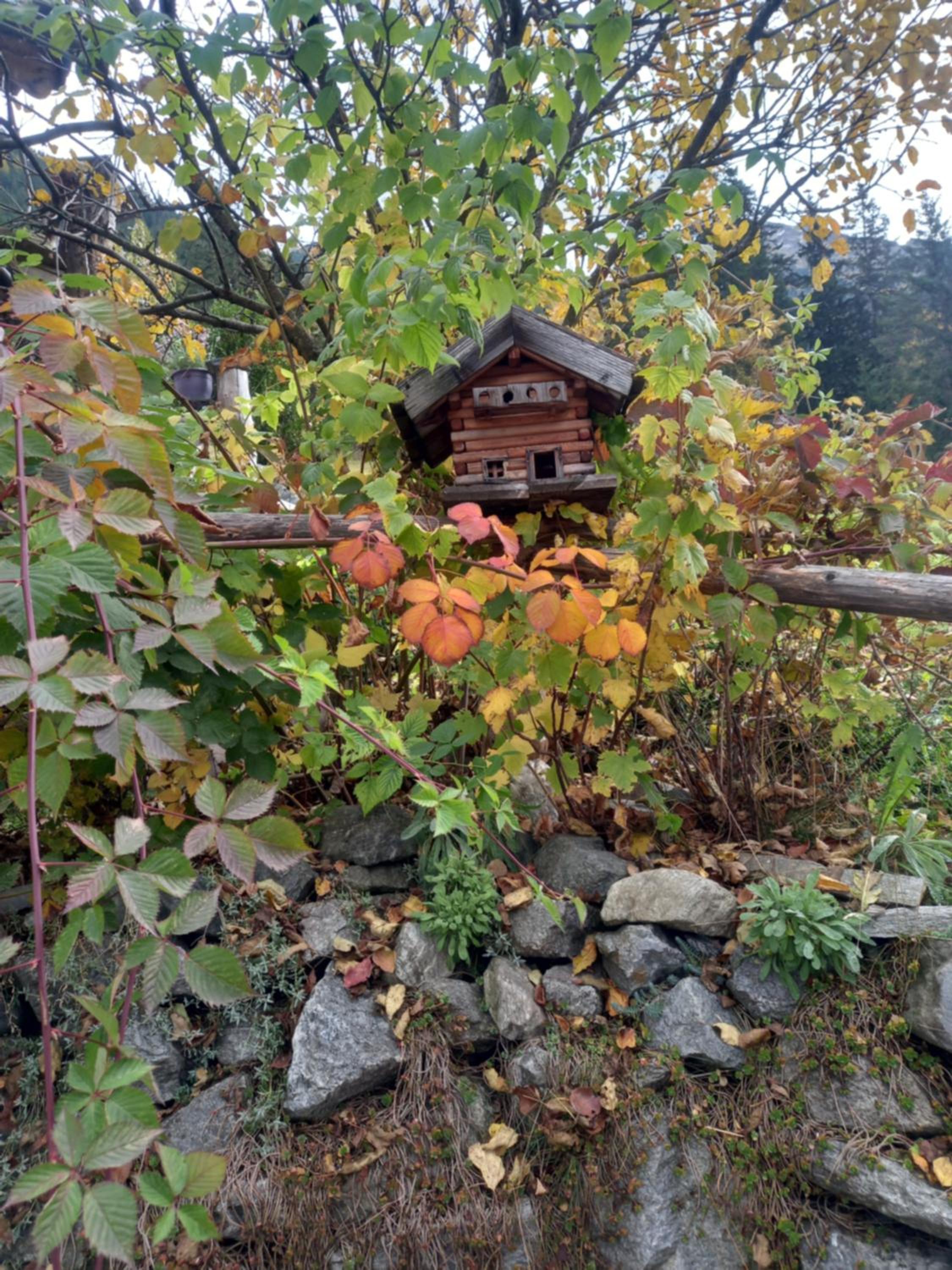 Haus Breitfuss