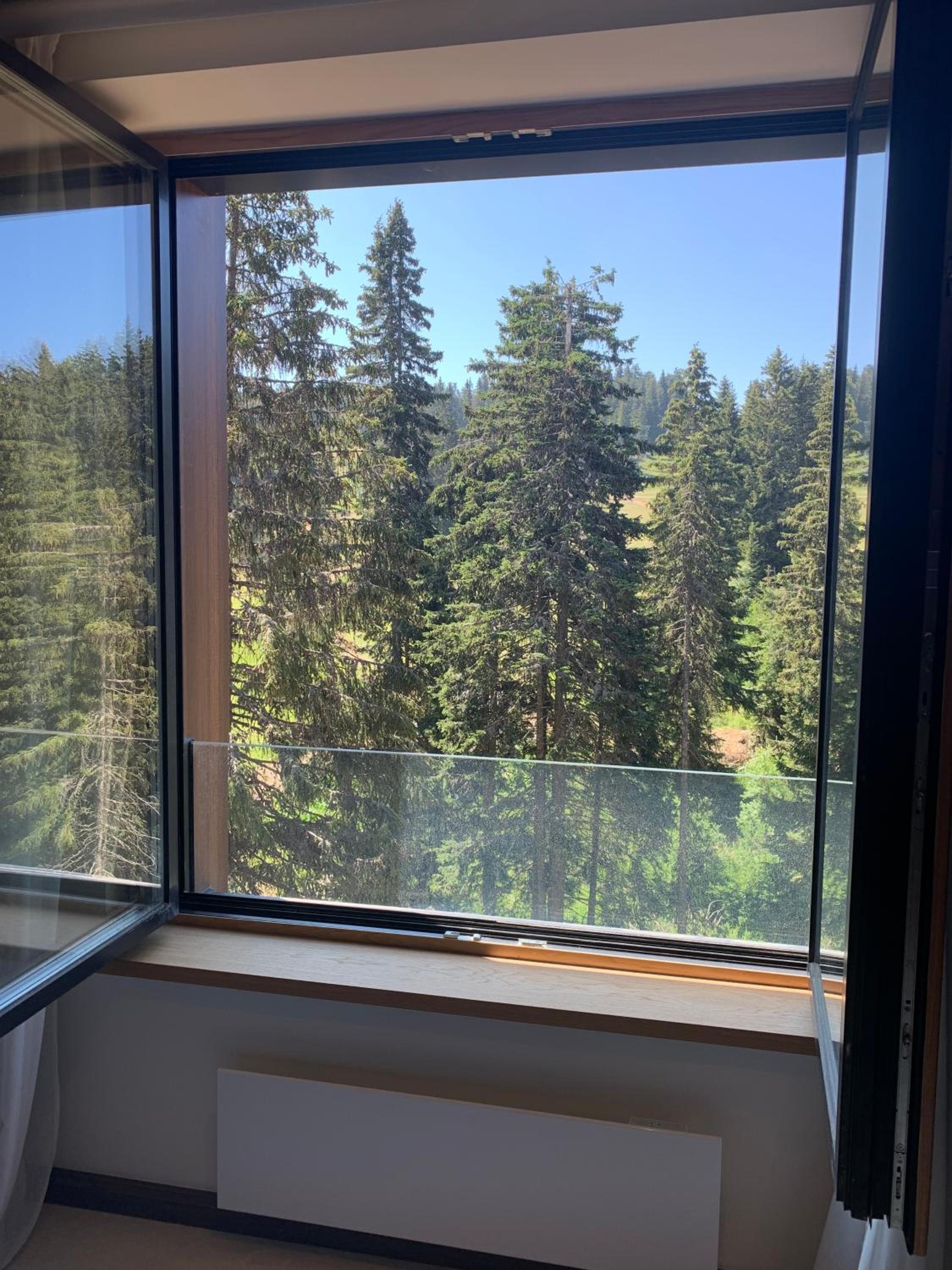 Woodside Kopaonik - Malo jezero, FREE Parking & SPA view 4