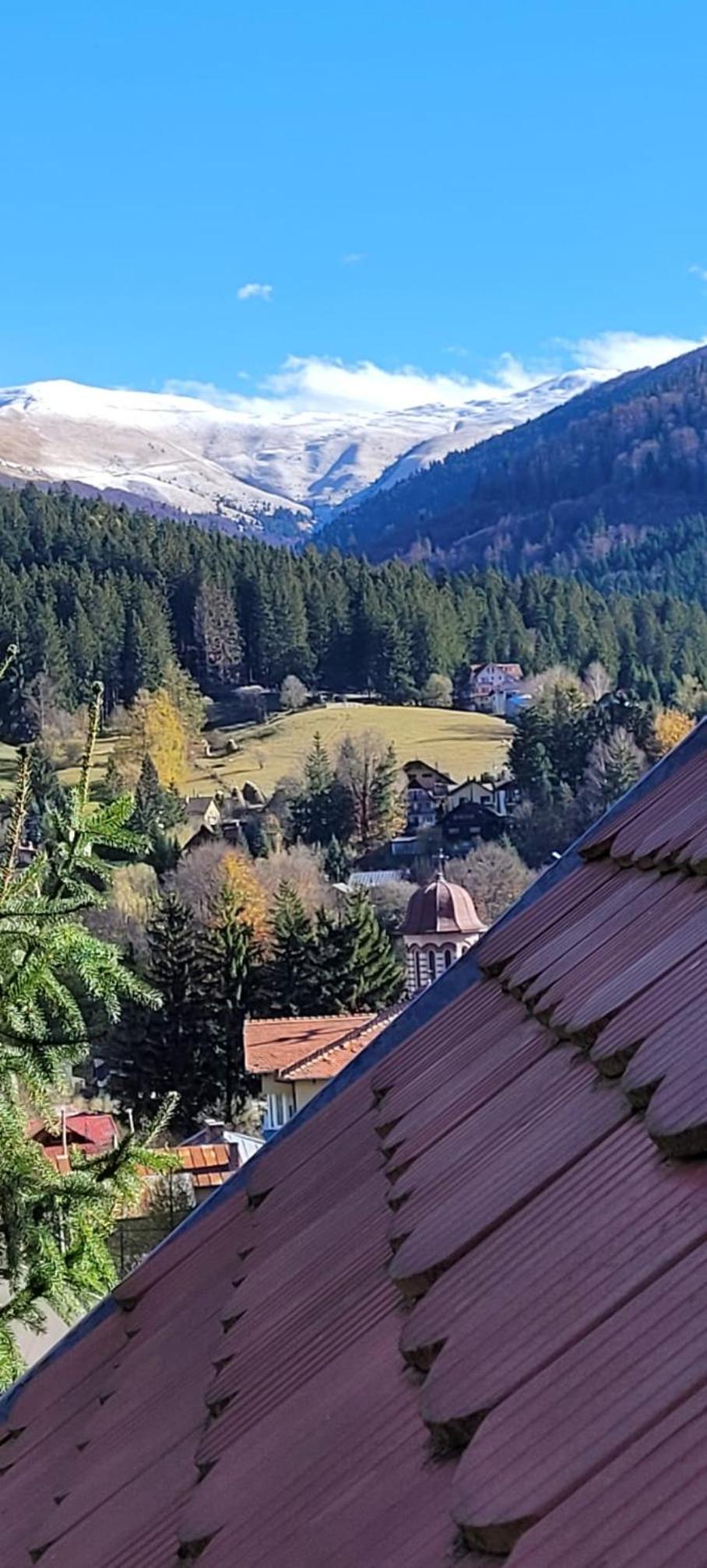 Guest House Urlătoarei - Bușteni