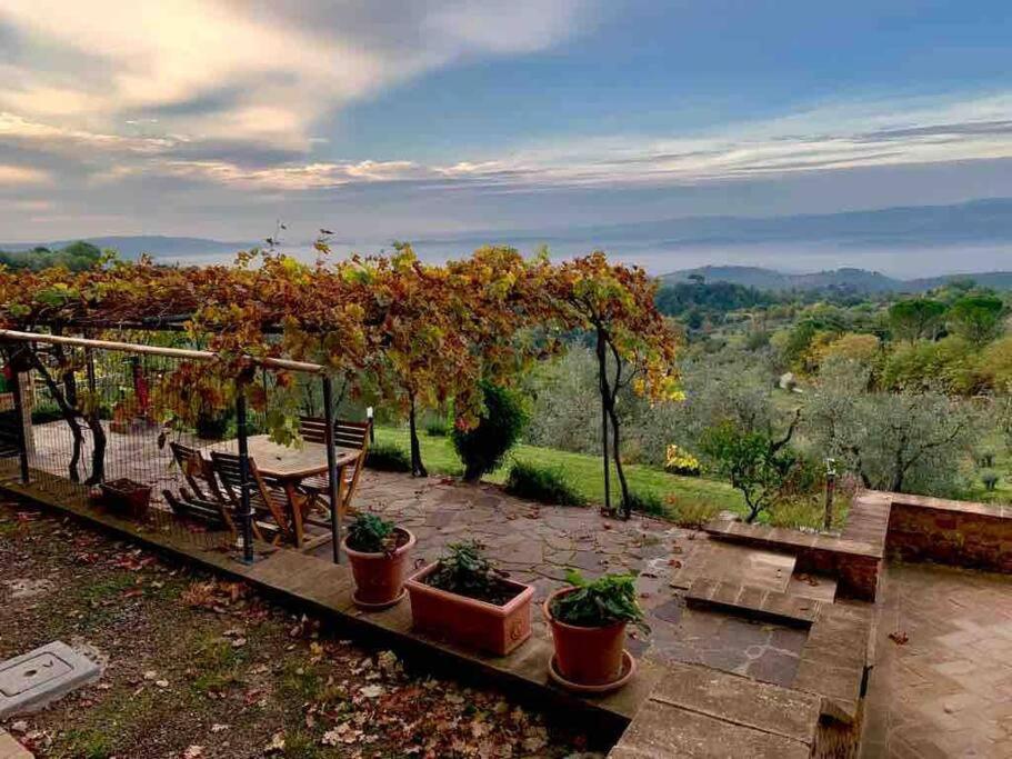 Vesper - Casale con piscina - Ad Galli Cantum photo 4