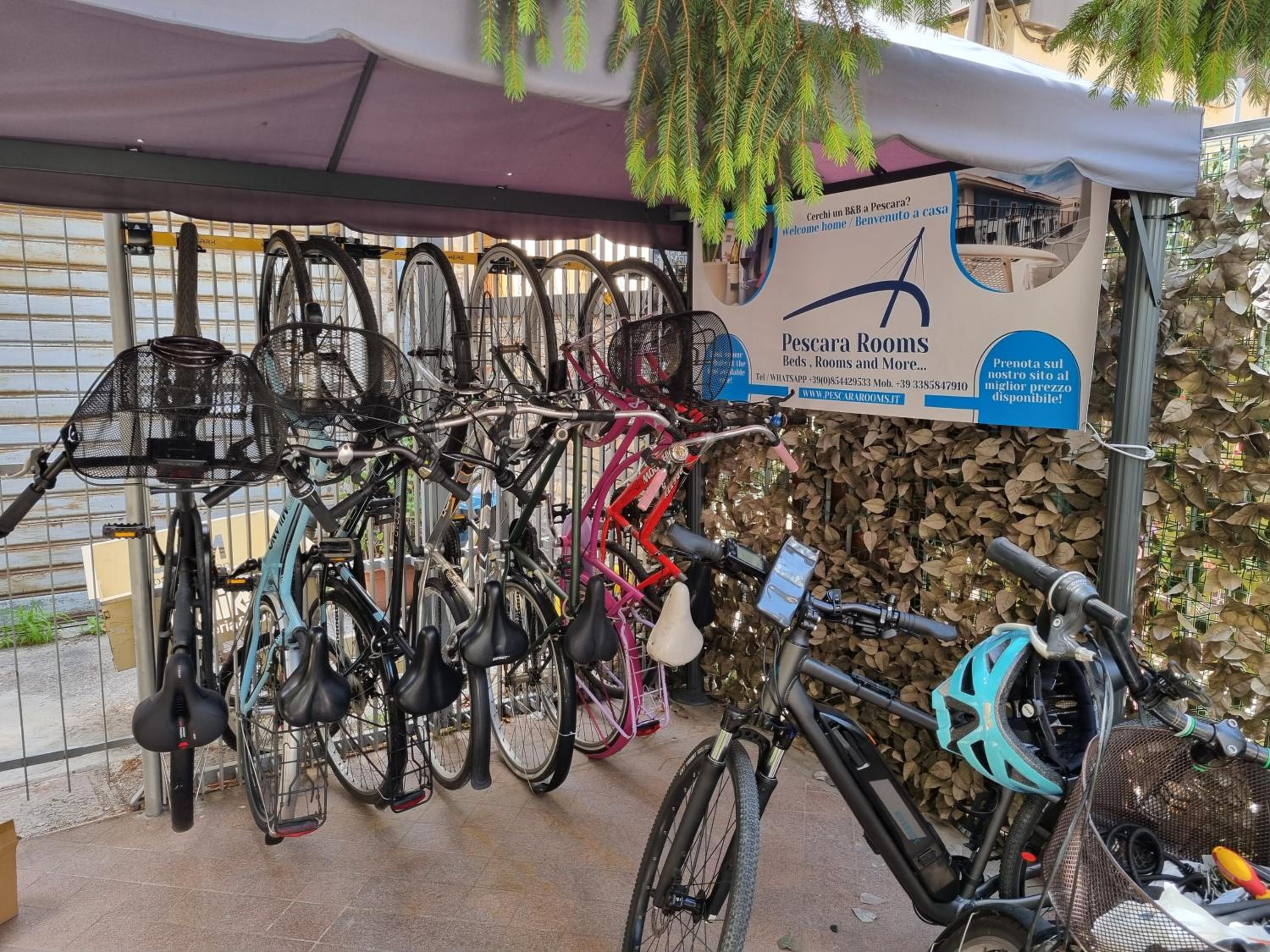 activities & amenities