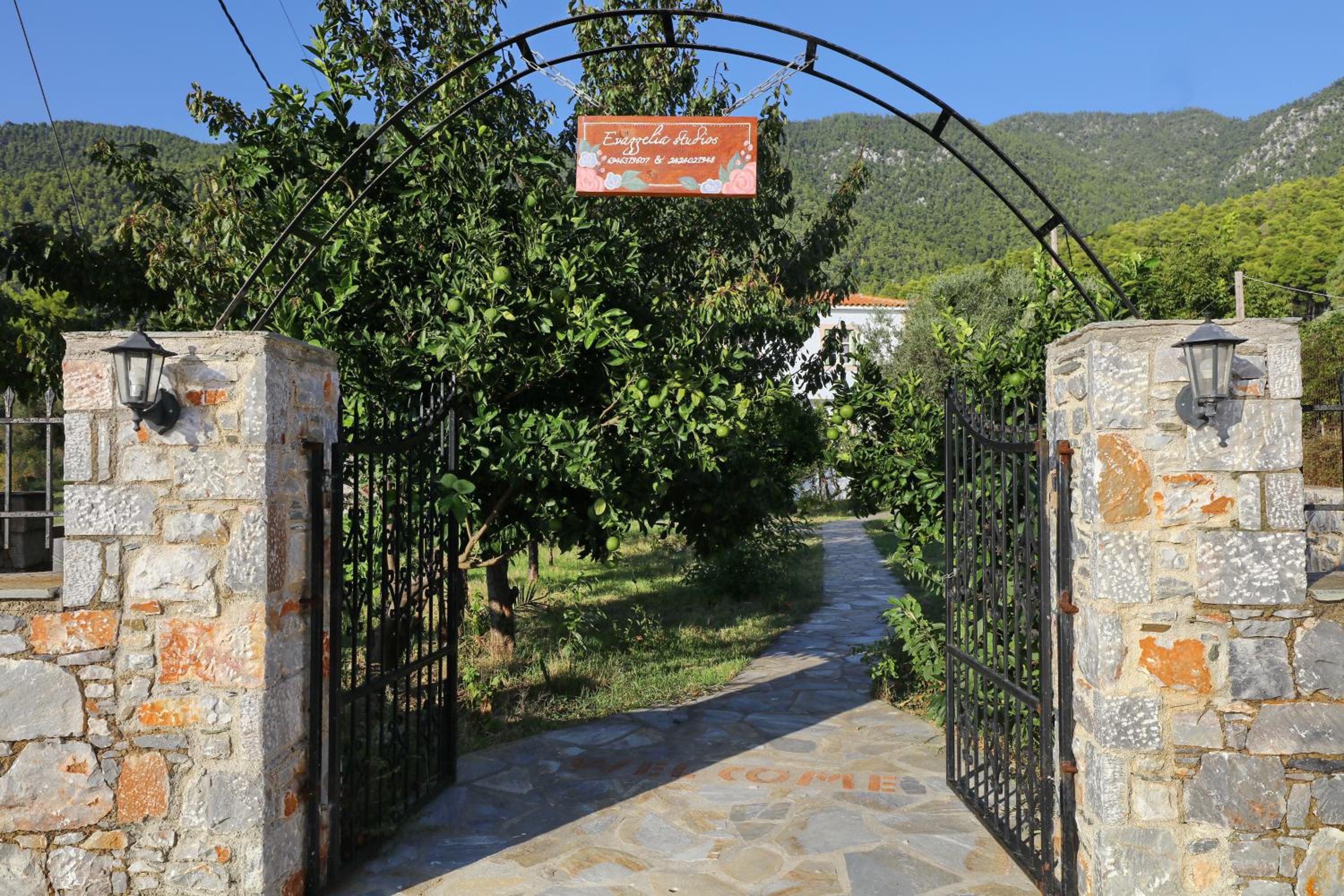 Photo 10