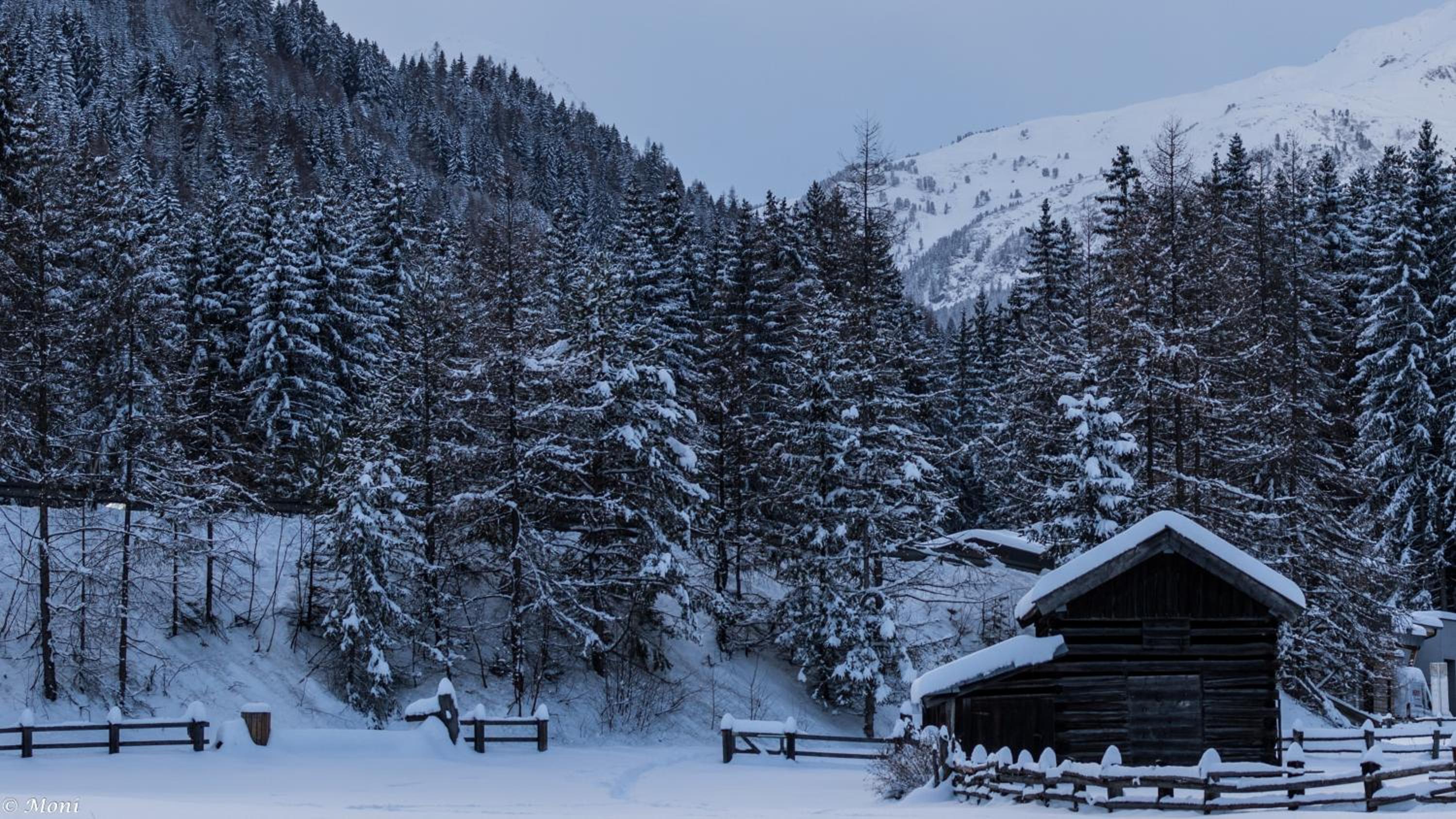 Haus Timmler