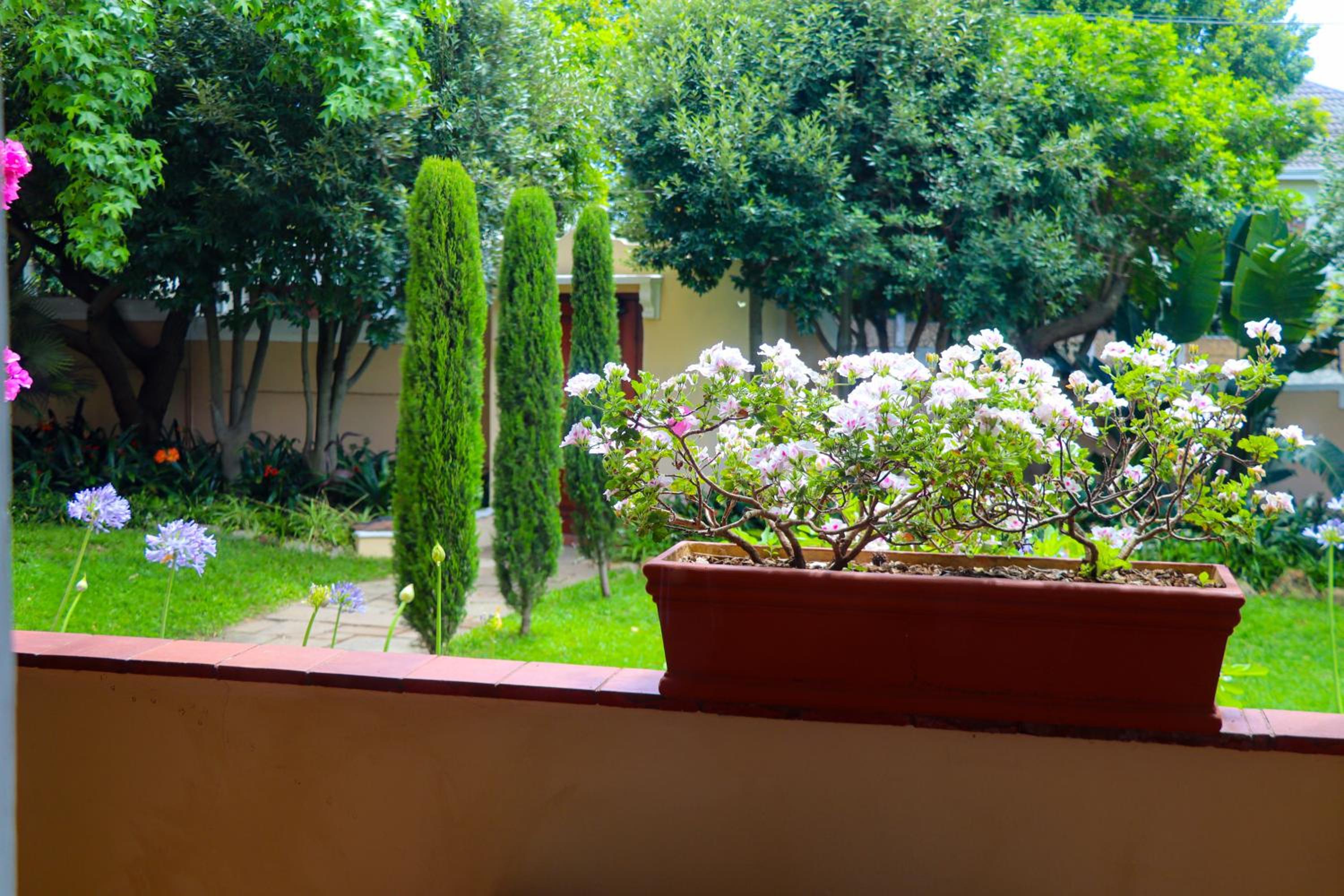 Photo 132