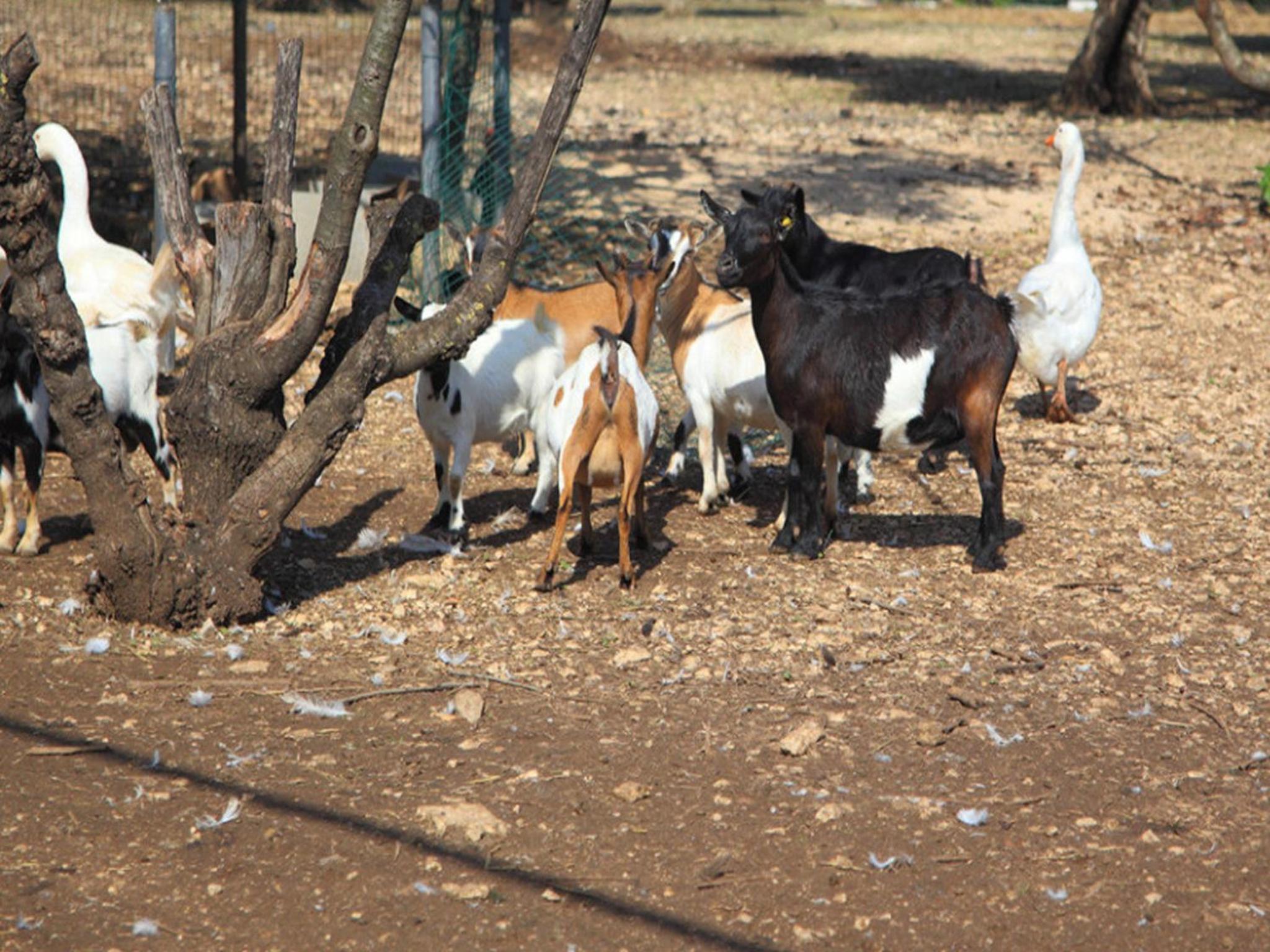 Tenuta Lama Gorga