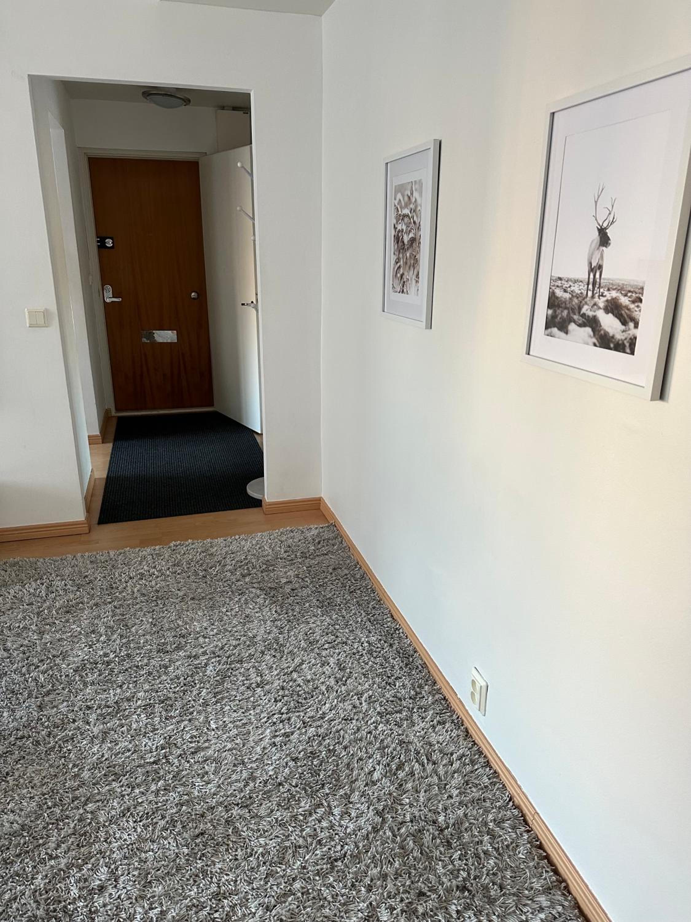Sofia Rovaniemi City Apartment
