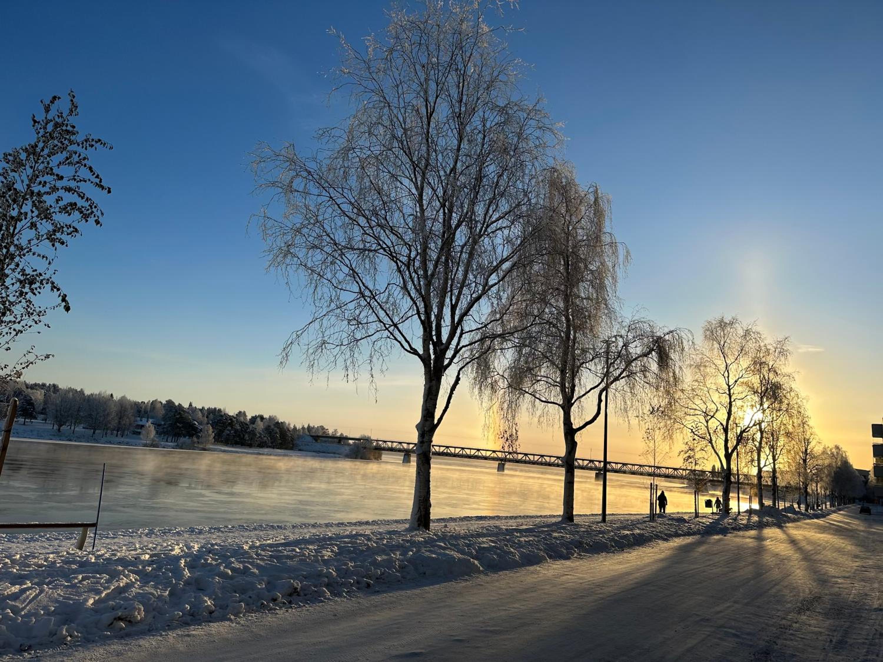 Sofia Rovaniemi City Apartment