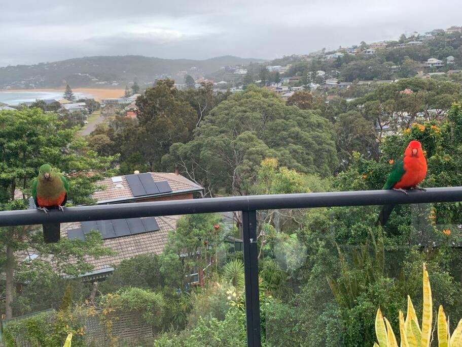 Copa Beach Vista (Stunning Beach & Ocean Views, Walk to Beach)