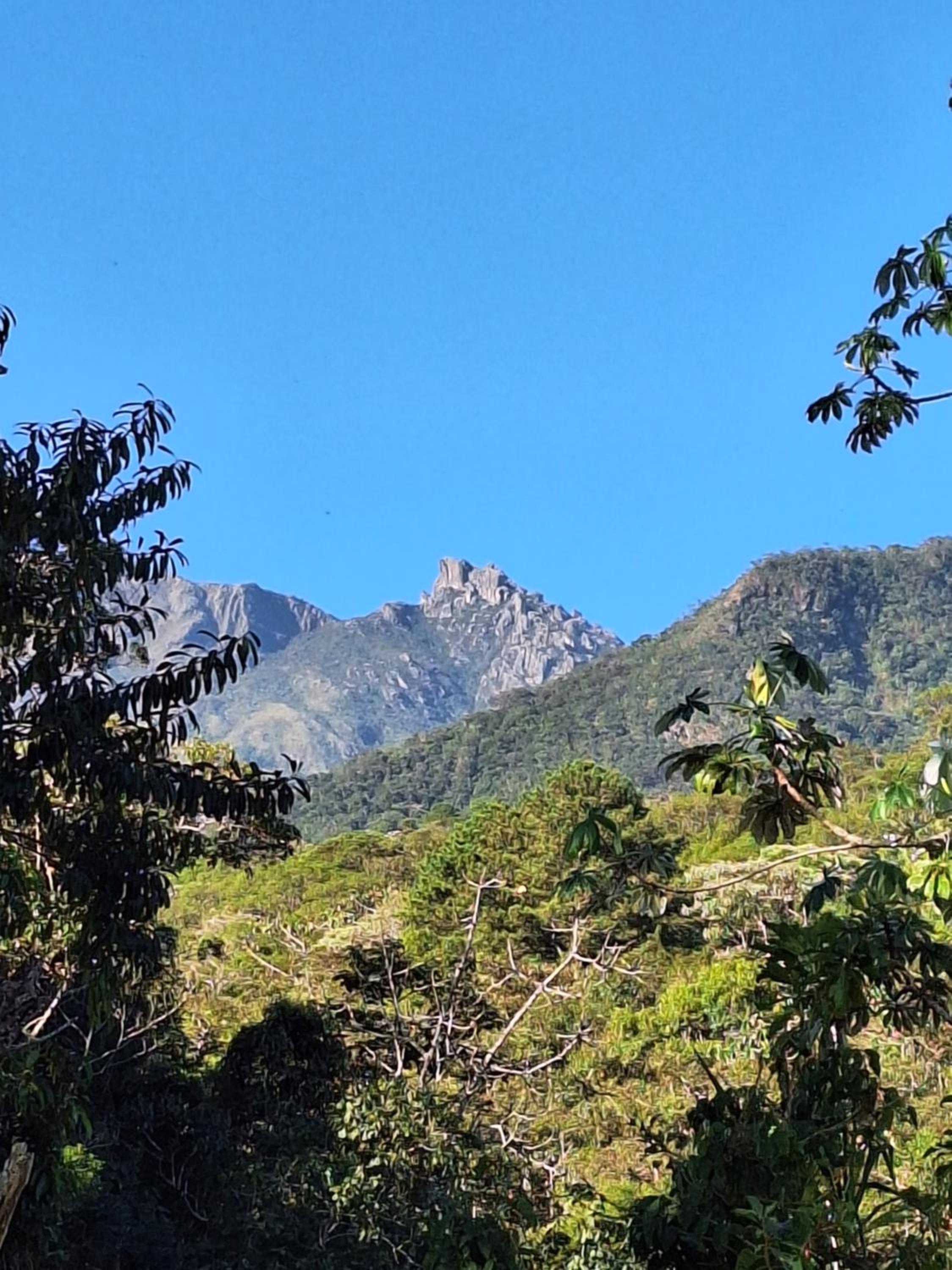 Casa Refúgio da floresta na Serra