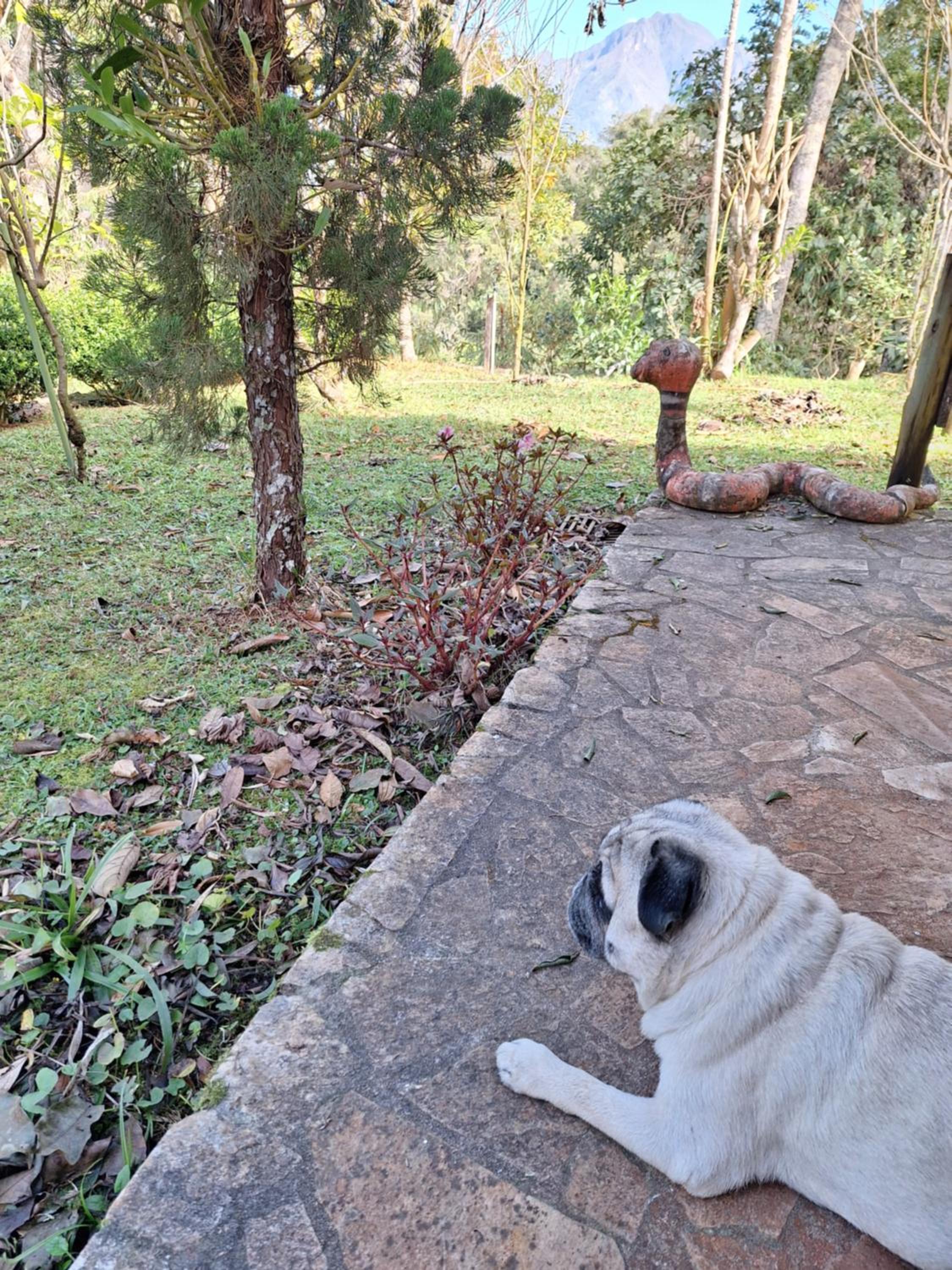 Casa Refúgio da floresta na Serra
