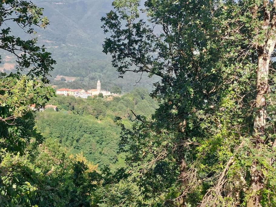 Casa Cossi
