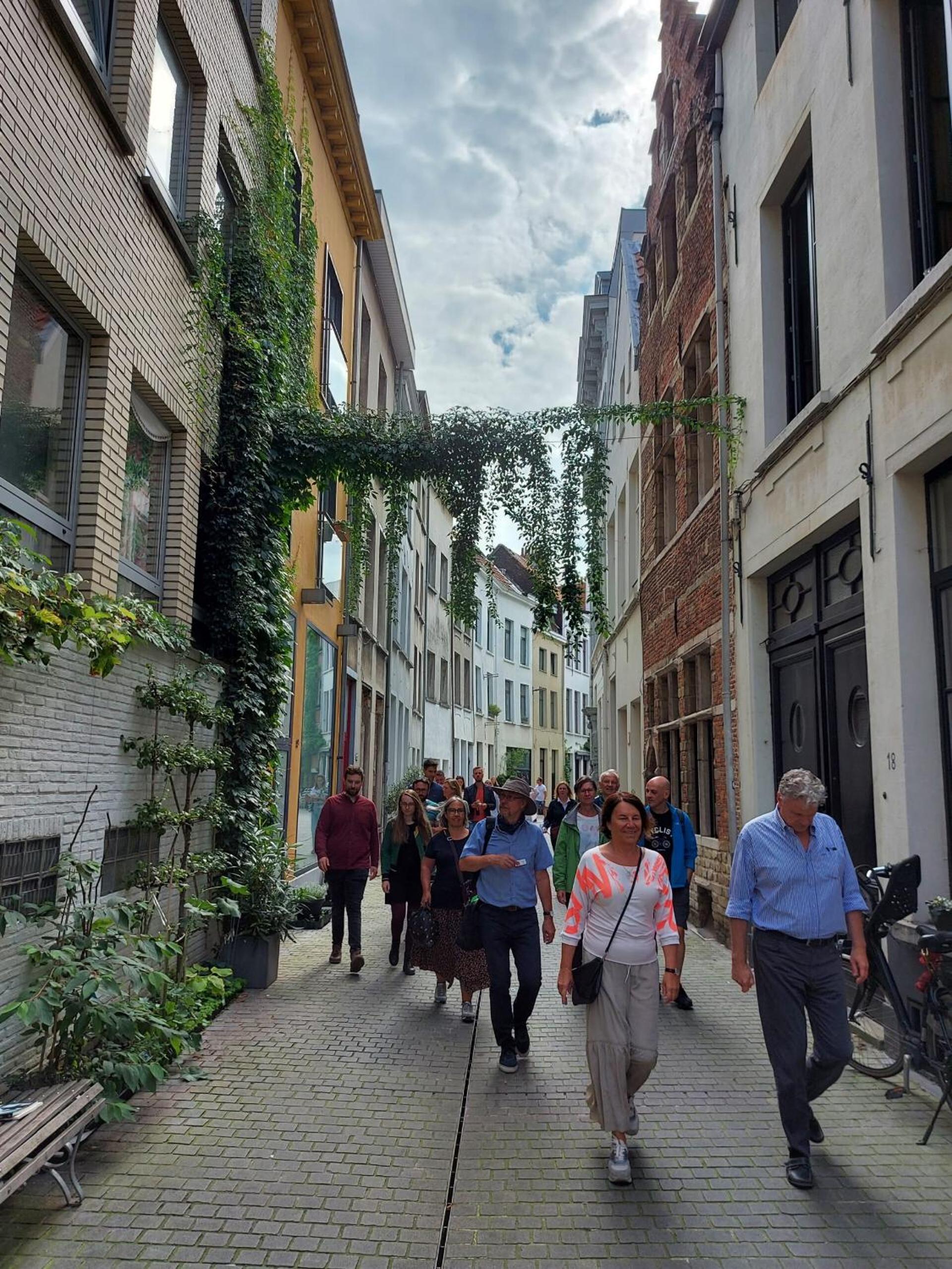 Central Apartments in the Heart of Antwerp