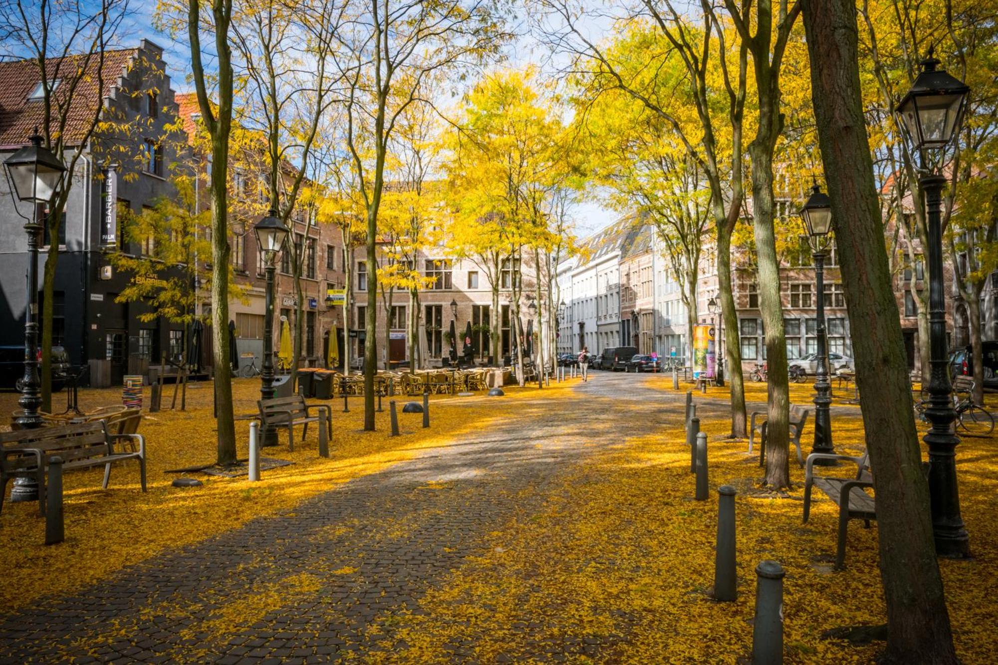 Central Apartments in the Heart of Antwerp