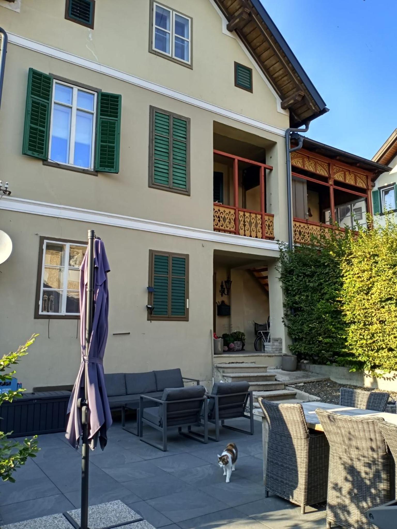 XXL Cosy apartments Villa Goisern, centre with mountain view
