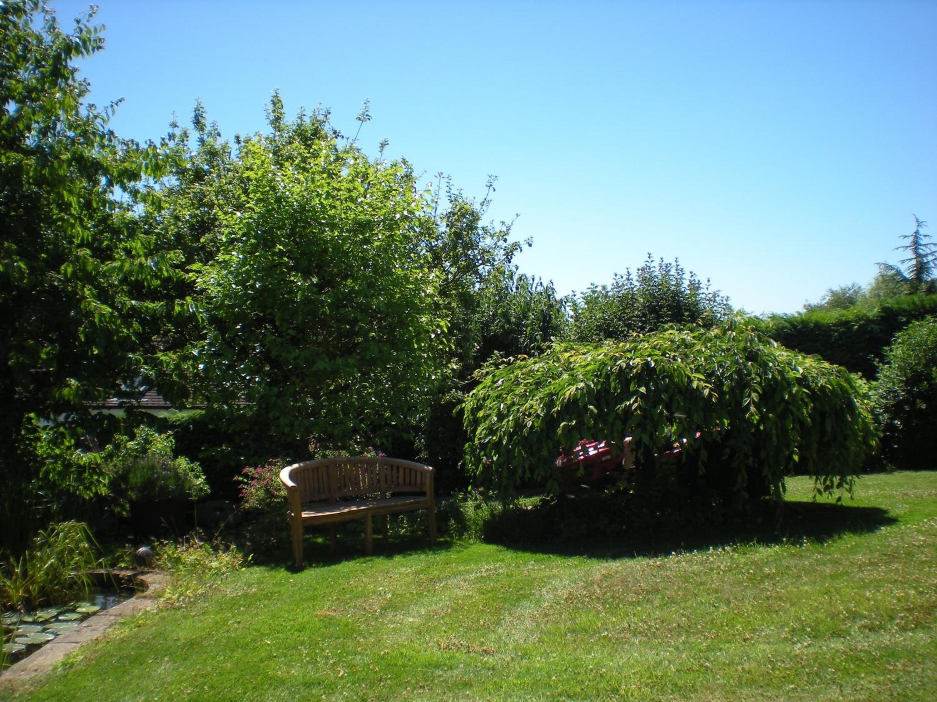 Photo 9