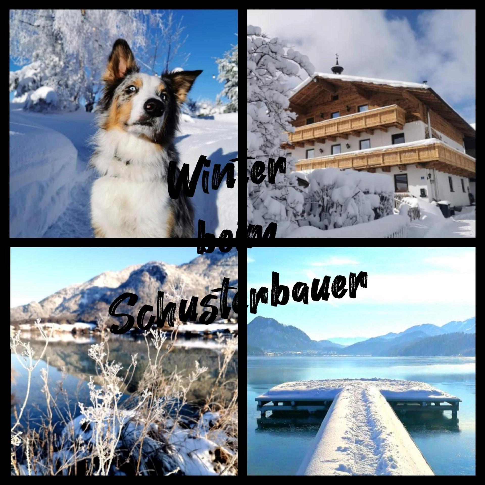 Schusterbauer