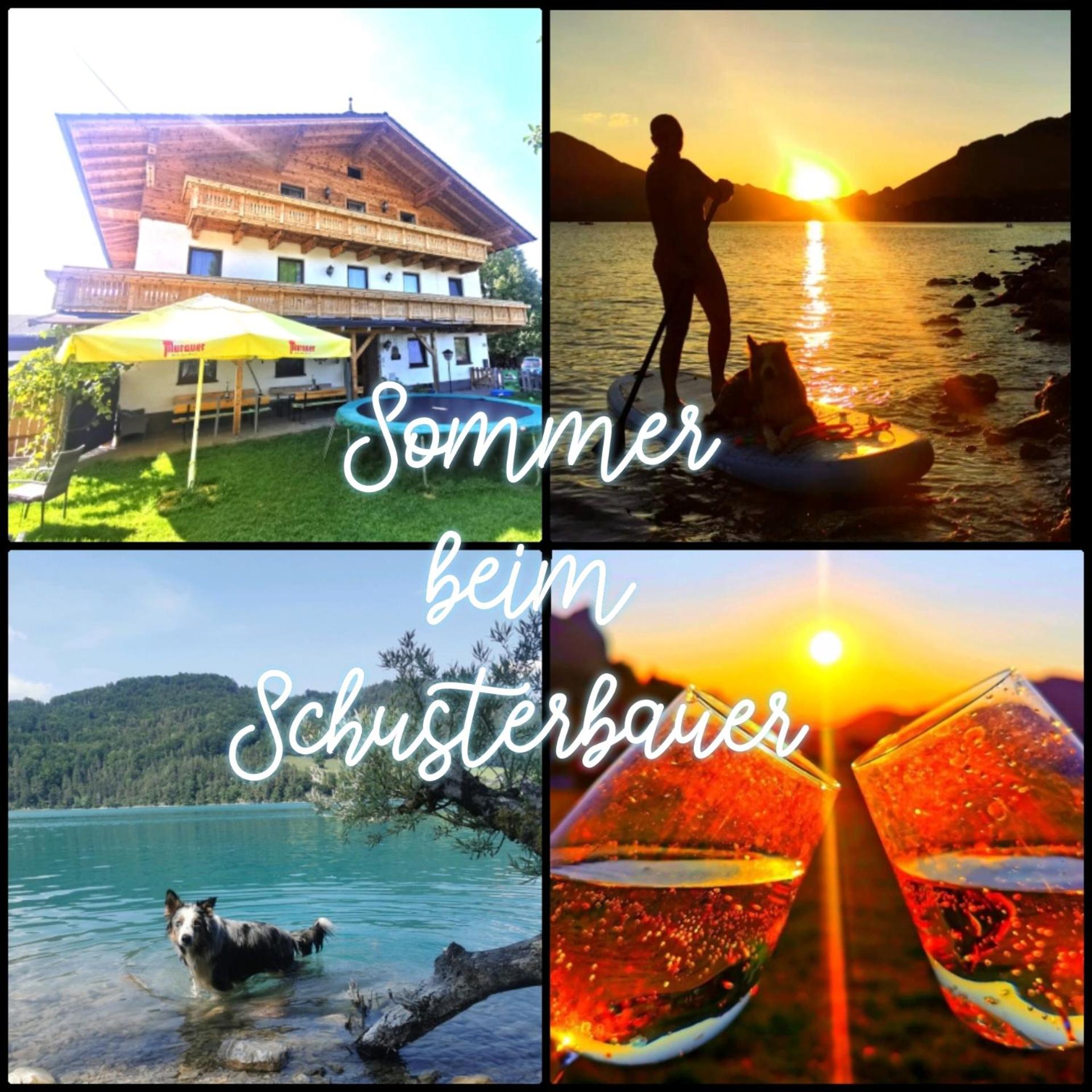 Schusterbauer