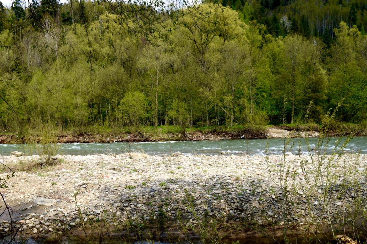Photo 36