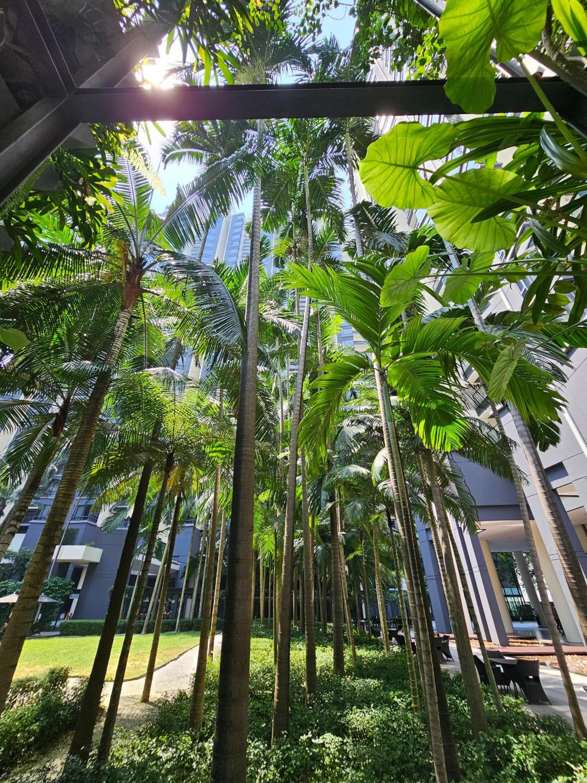 Luxurious Apartment St Mary Residences Resort Style
