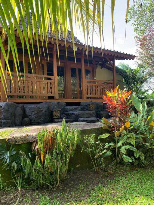 Puri Taru Ubud view 2