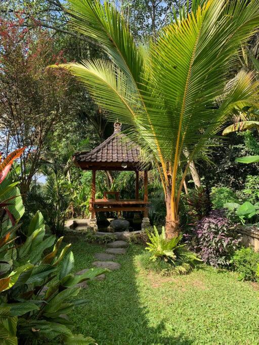Puri Taru Ubud view 5