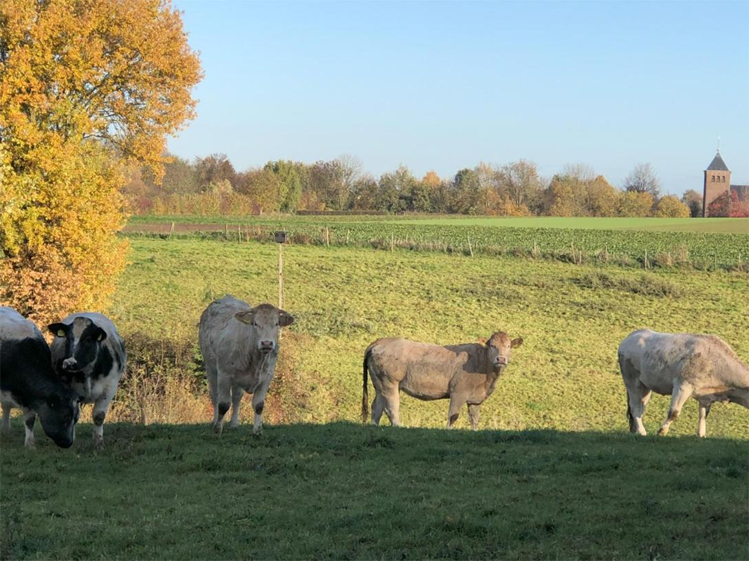 Vakantiehuis Leukderhuisje Geulle Meerssen