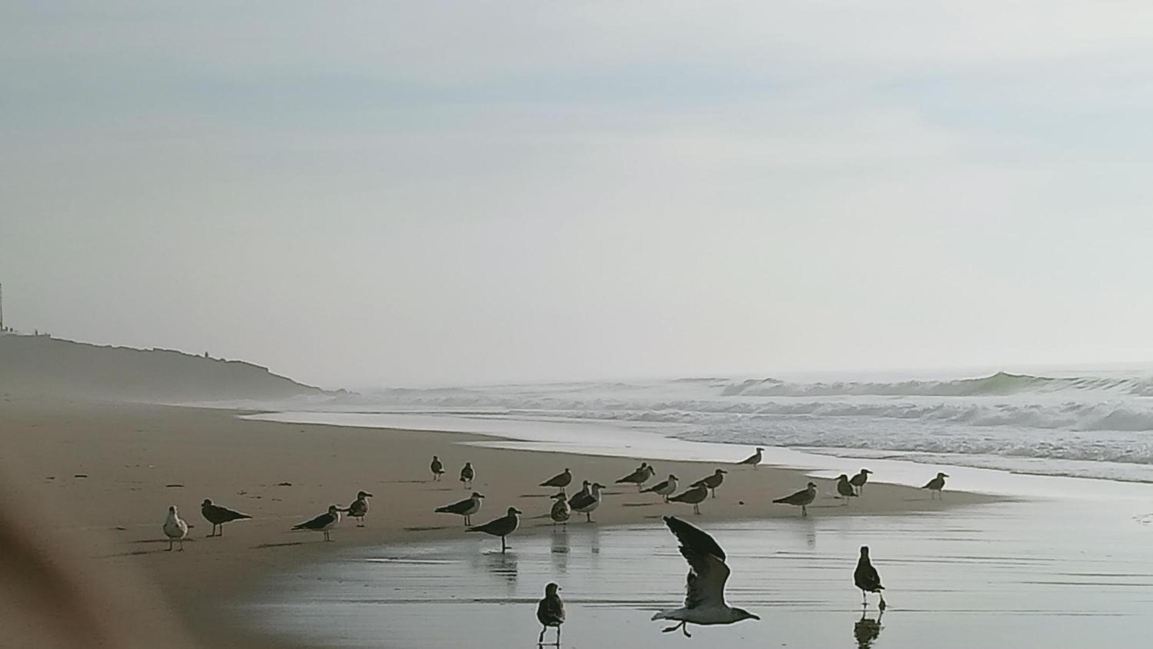 Photo 45