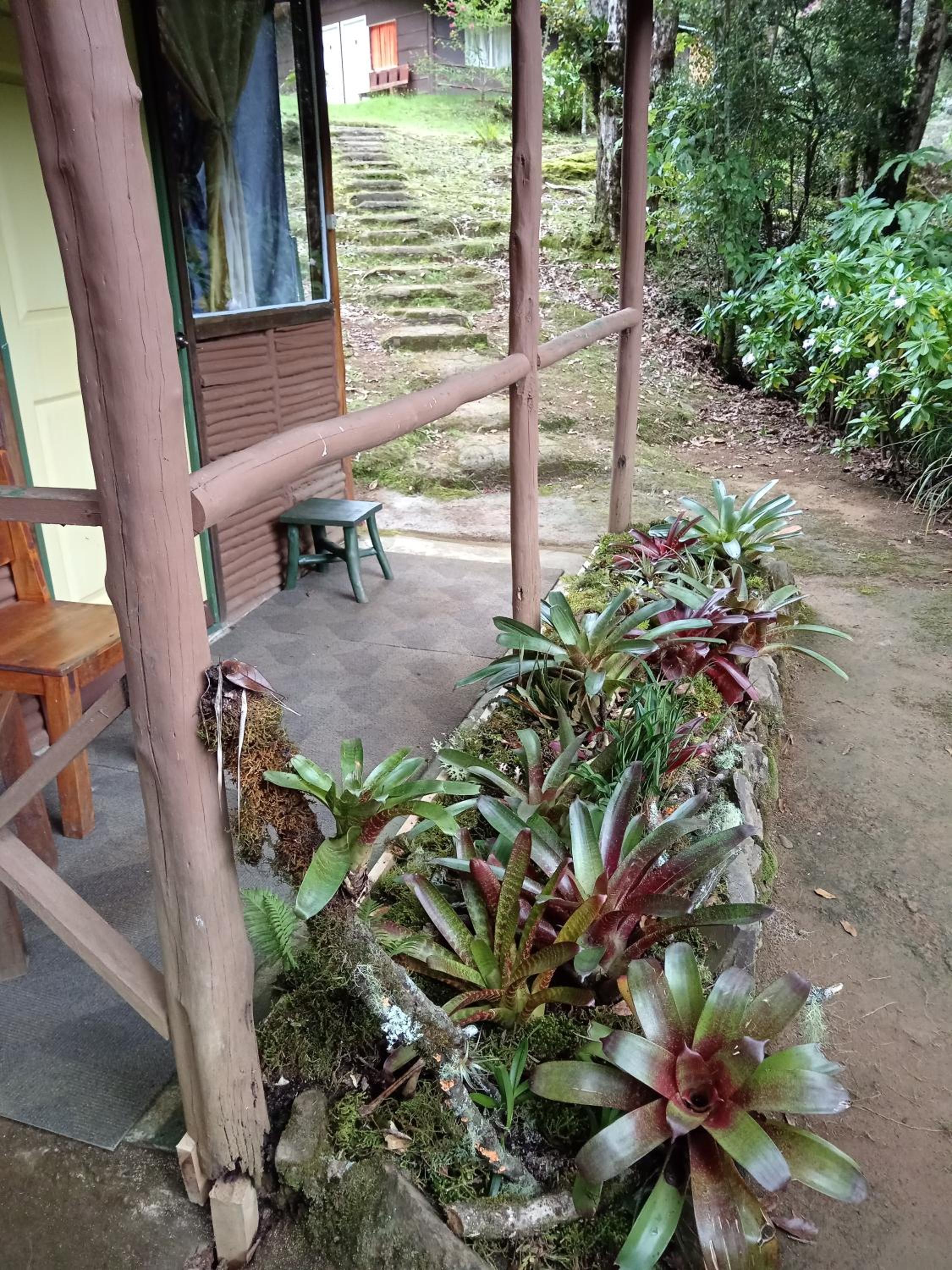 Miriam'S Quetzals lodge