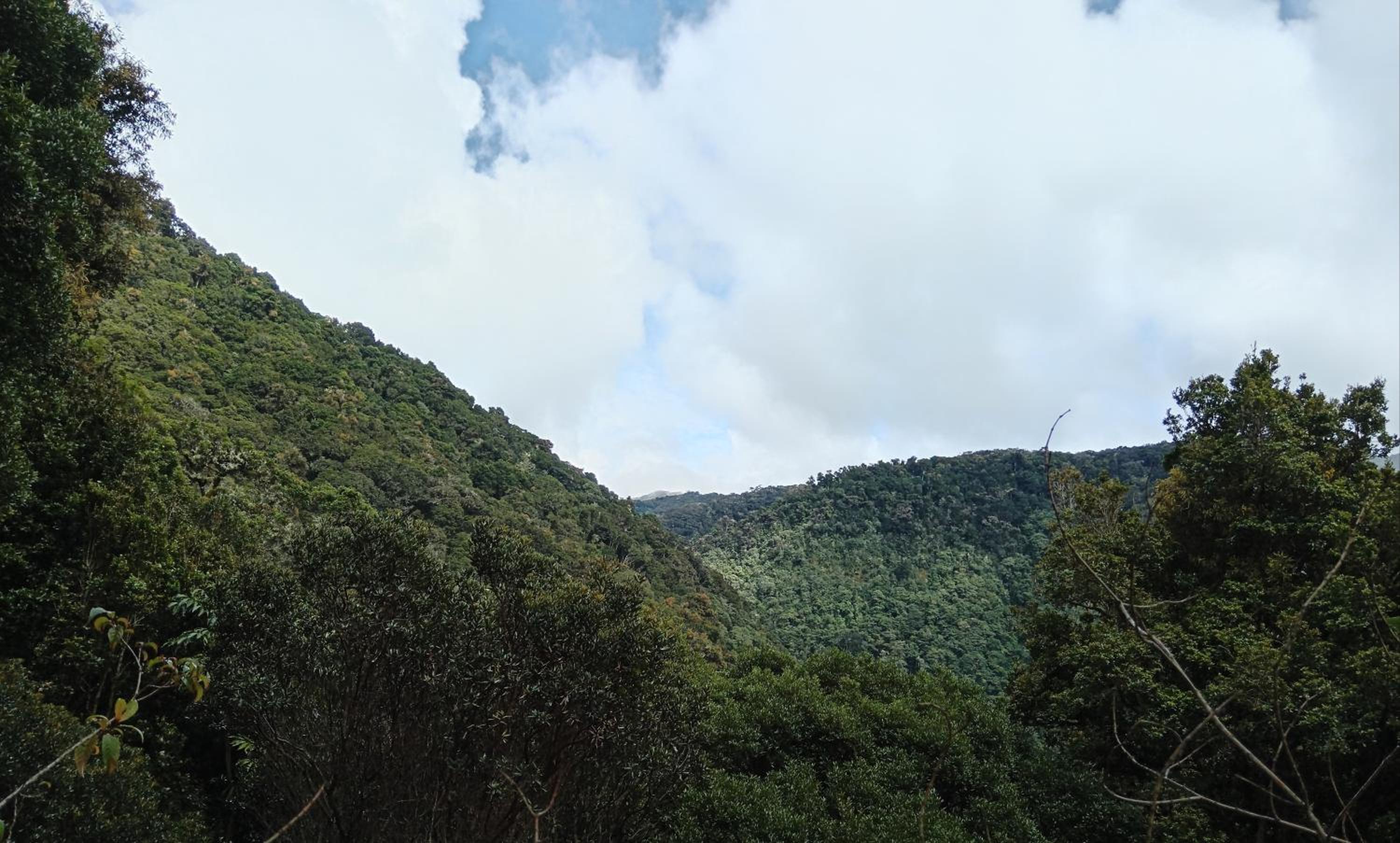 Miriam'S Quetzals lodge