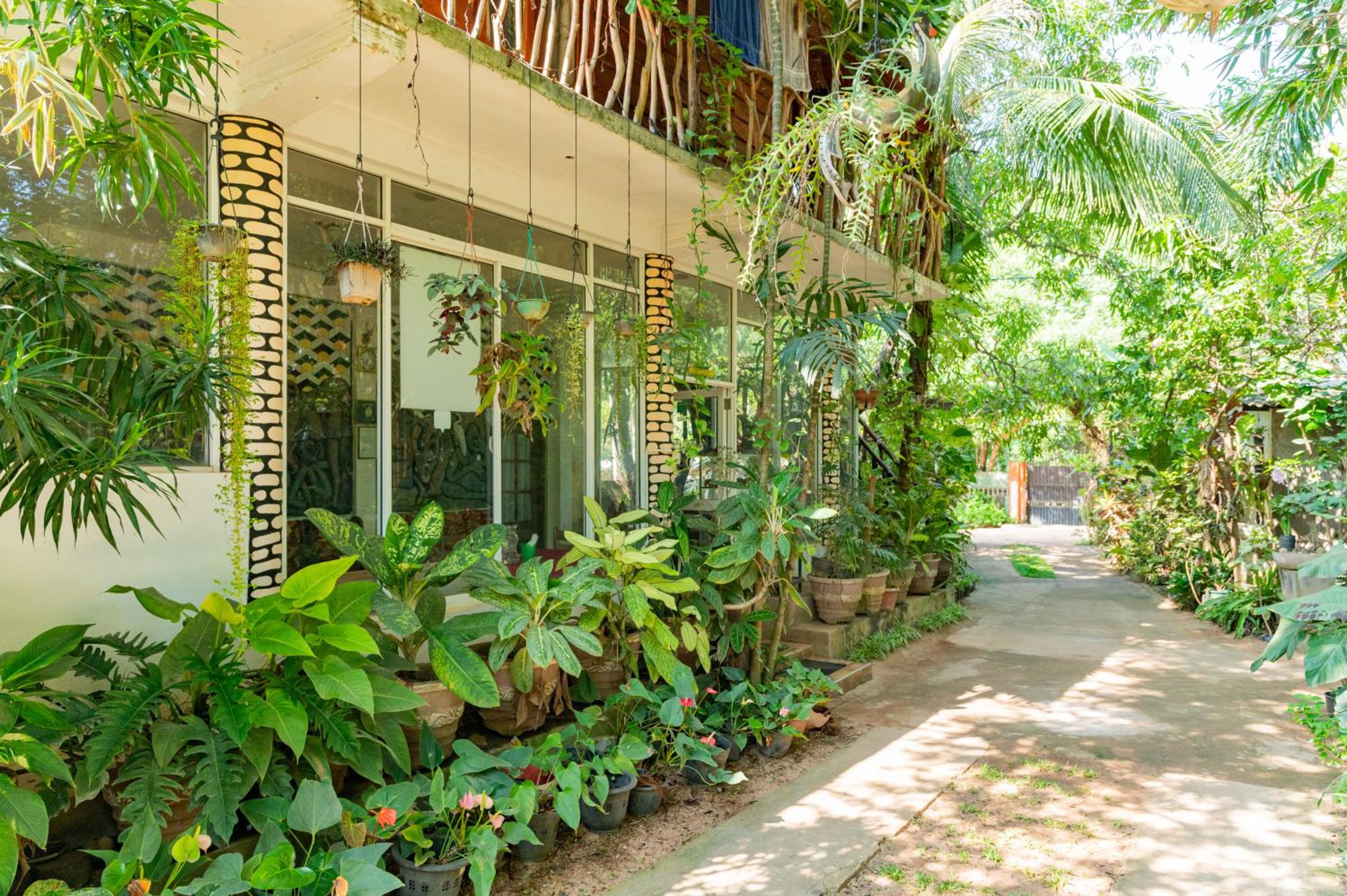 Green Garden Resort view 3