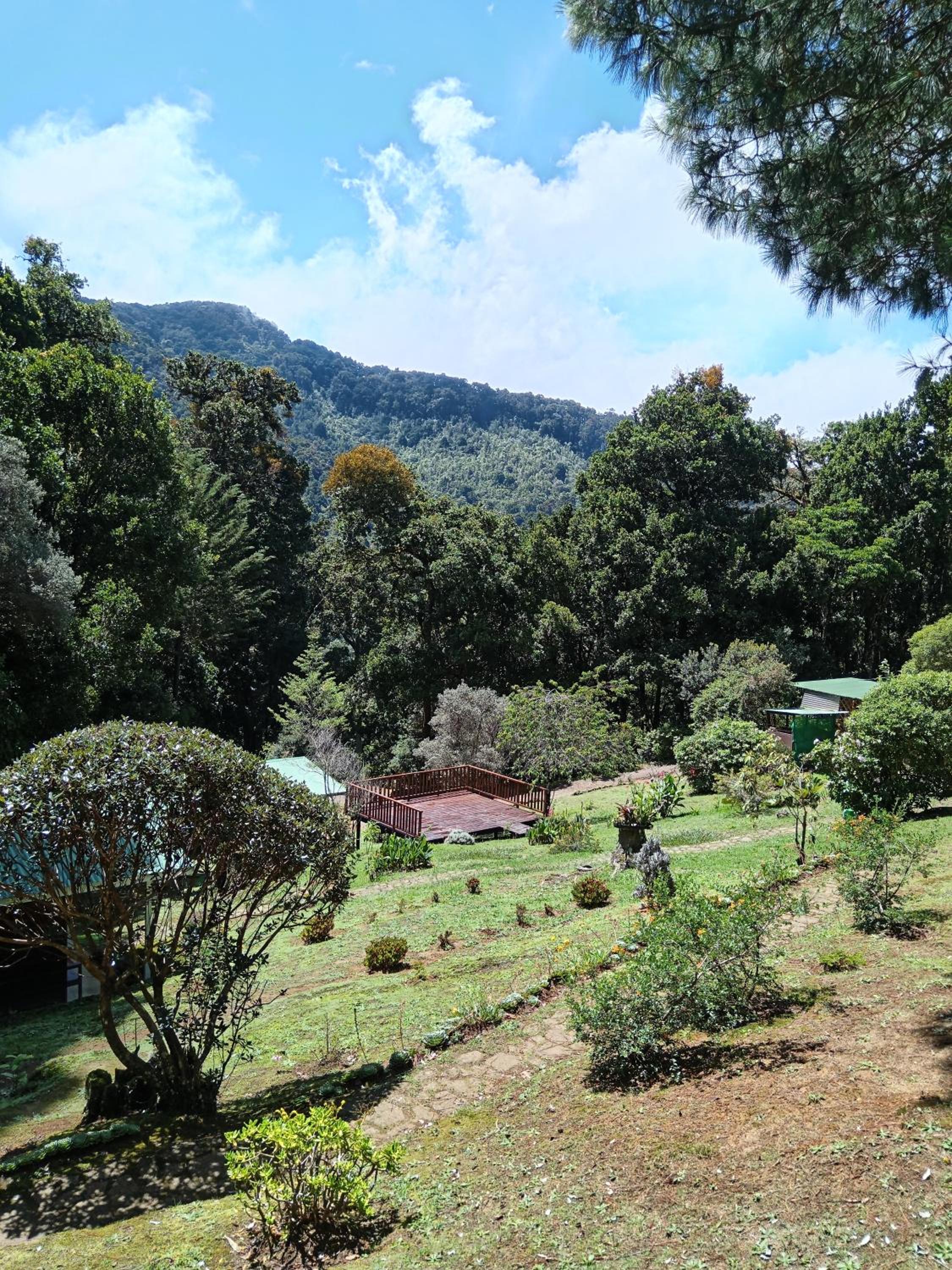 Miriam'S Quetzals lodge