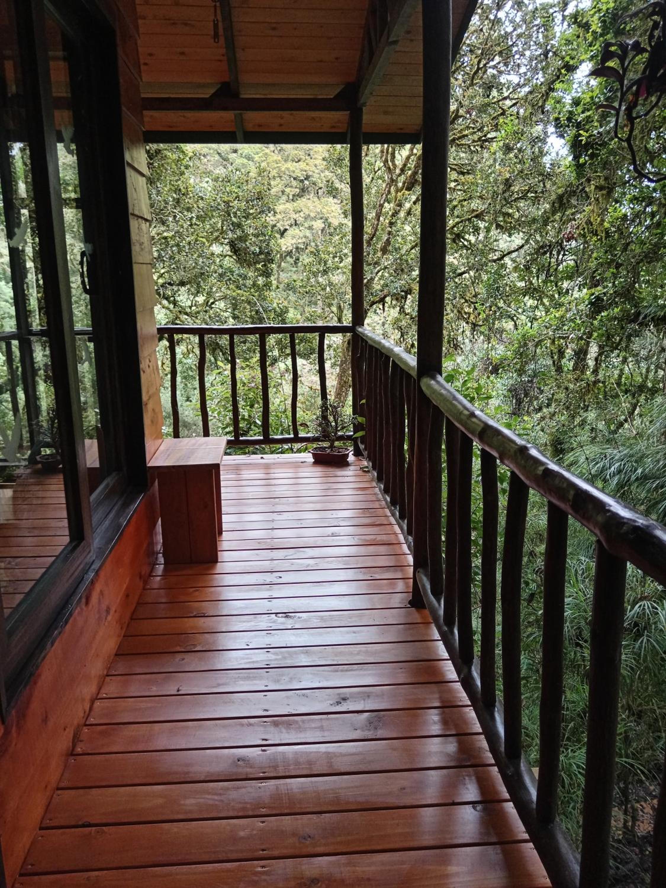 Miriam'S Quetzals lodge