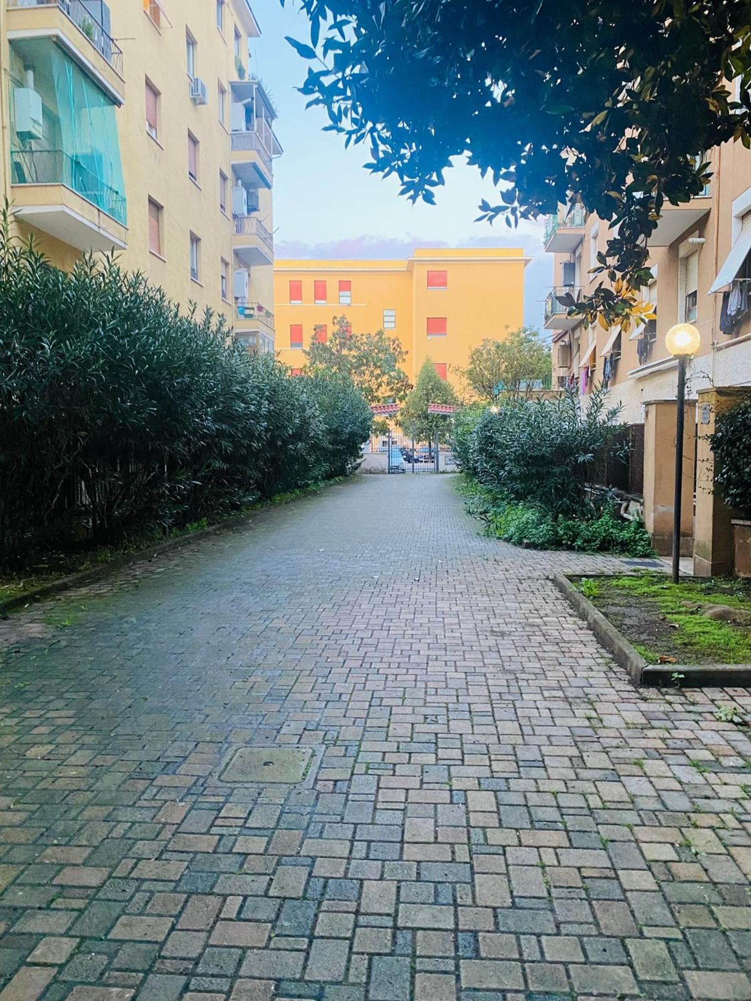 Large Garden