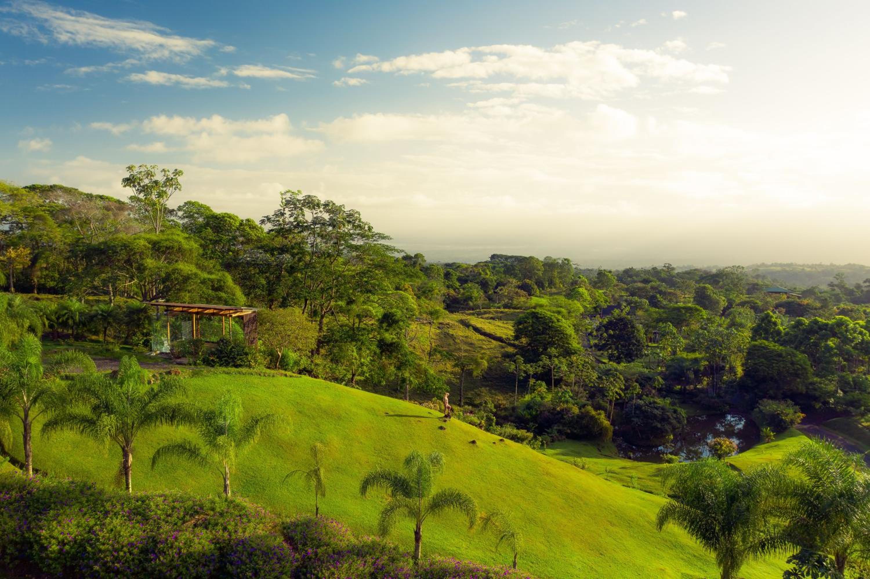 Villa Morpho - Luxury Jungle House at Ecolirios Green Community