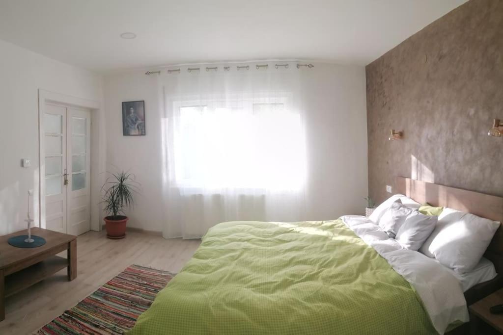 Casa cu trandafiri view 2