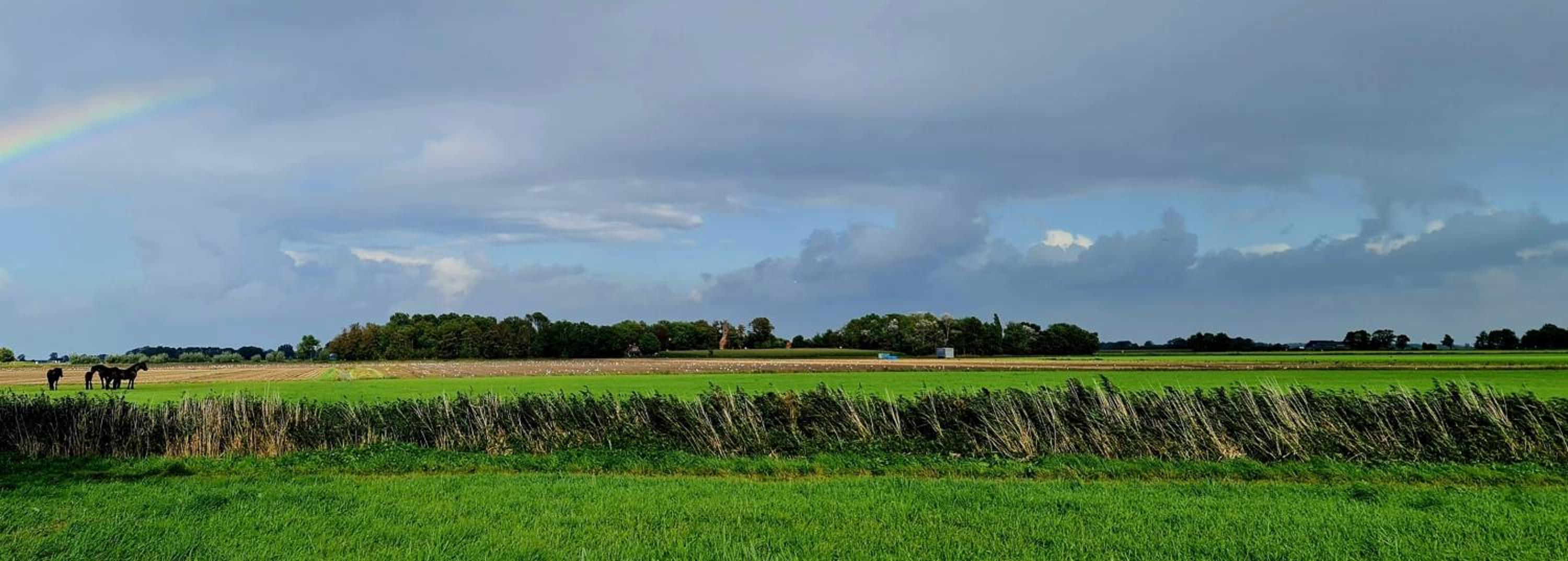 Wellness op'e Klaai view 5