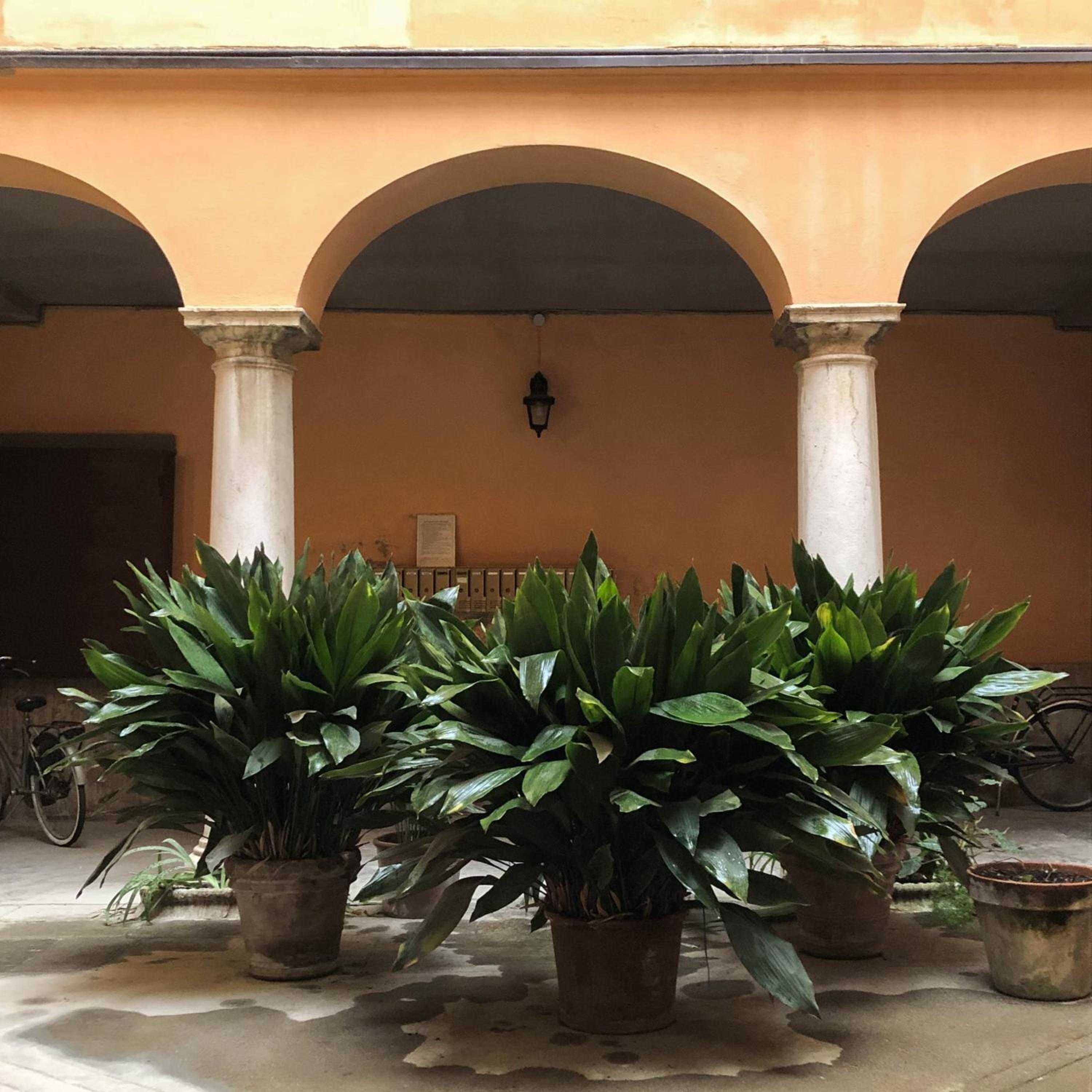 other