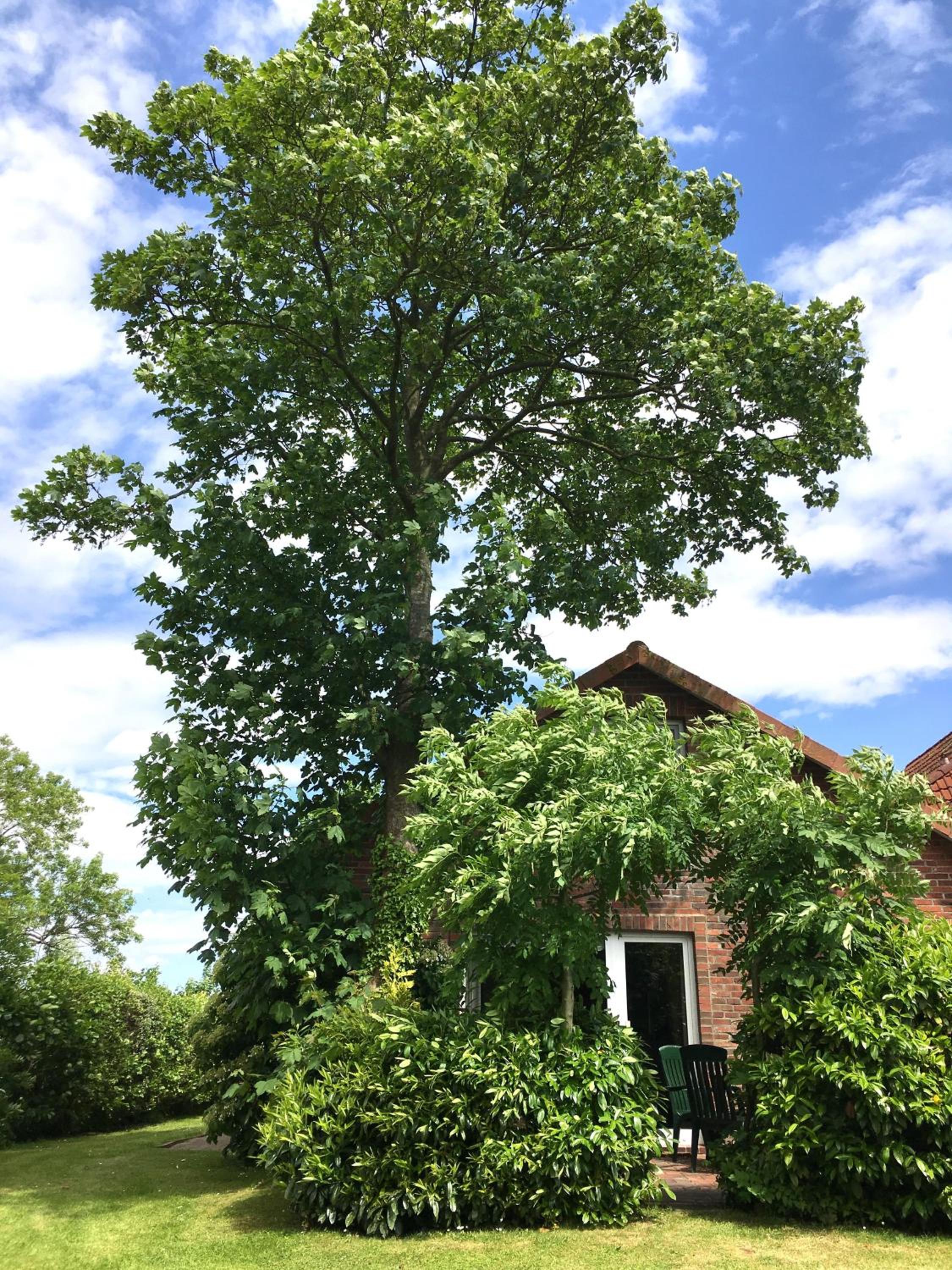 Ferienhaus Wiesenblick