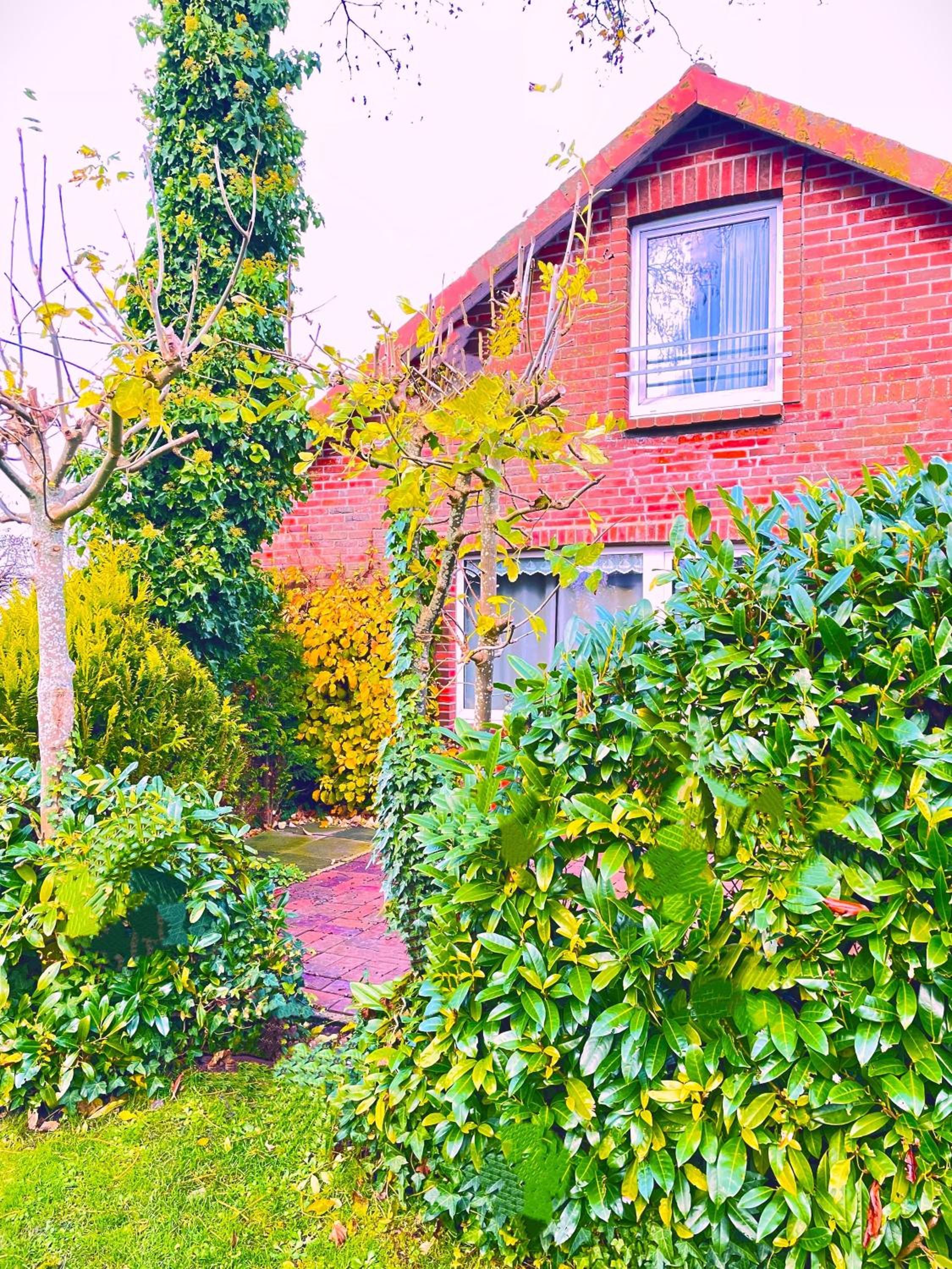 Ferienhaus Wiesenblick
