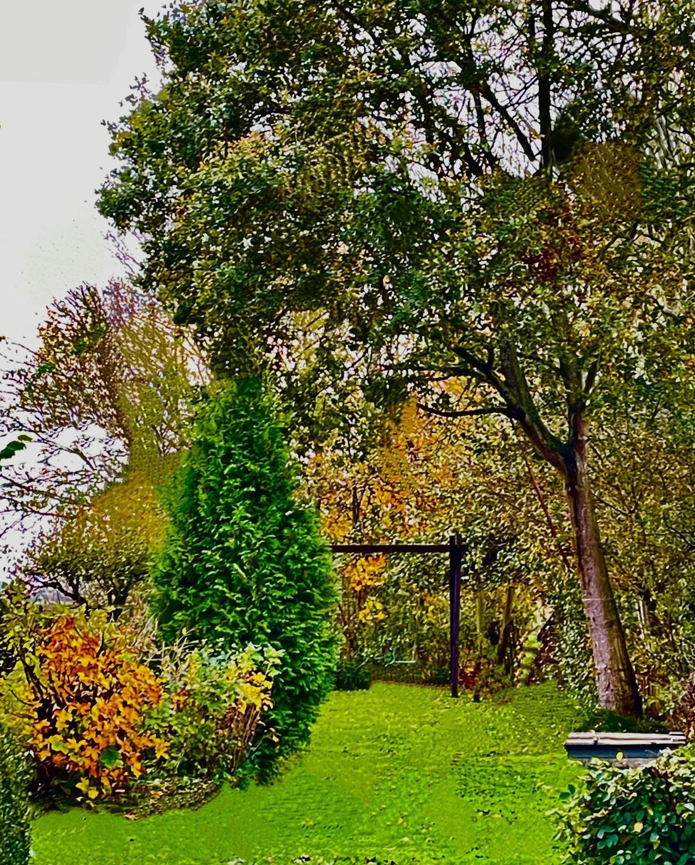 Ferienhaus Wiesenblick