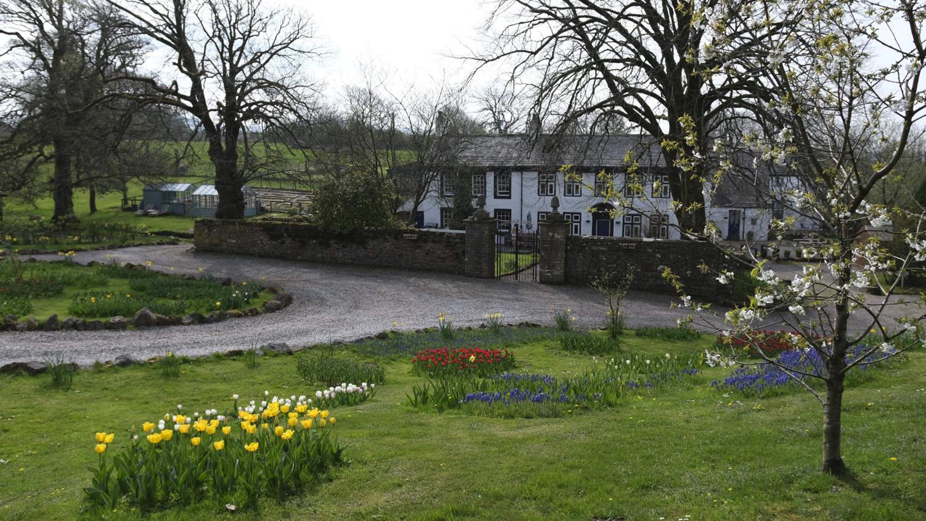 Photo 43