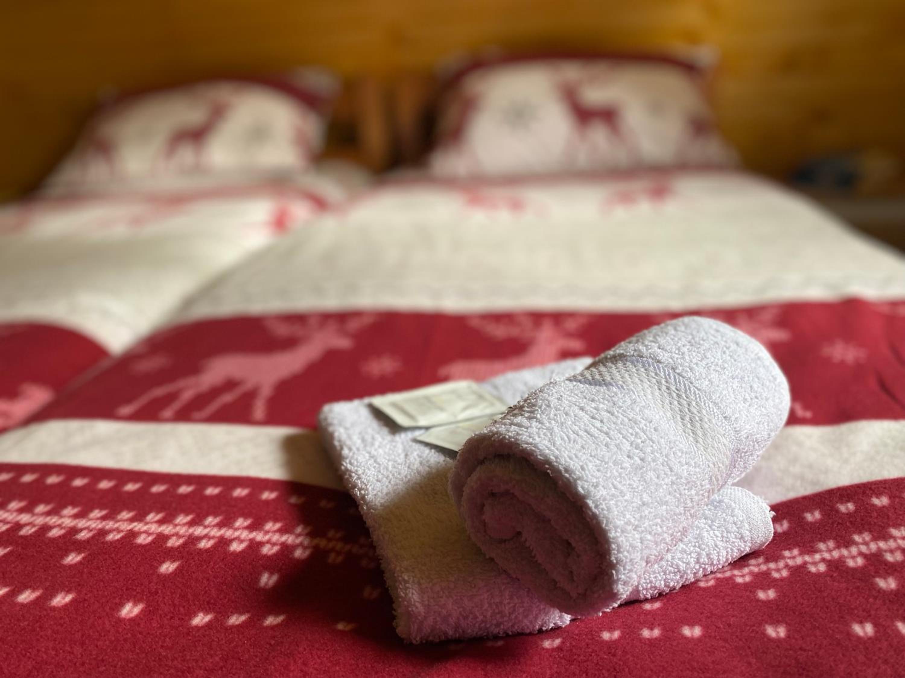 Apartmani Snježna Kraljica Vlašić 1
