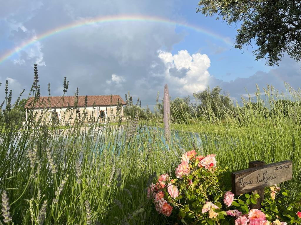 Villa Paladini