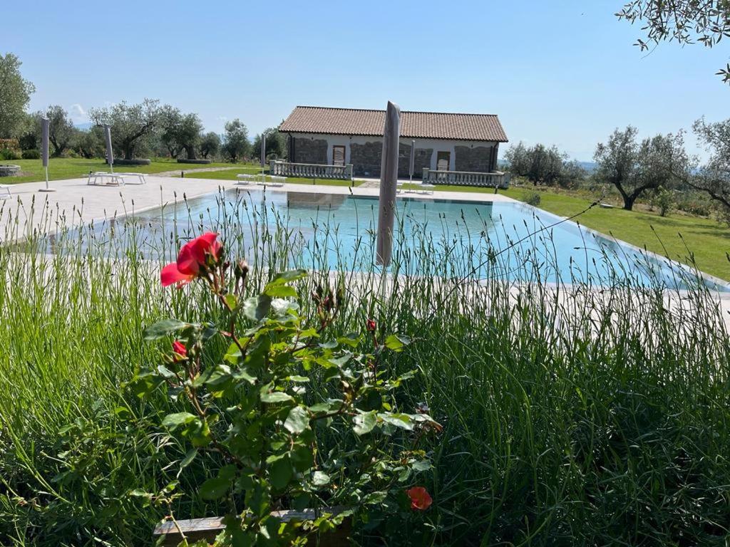 Villa Paladini