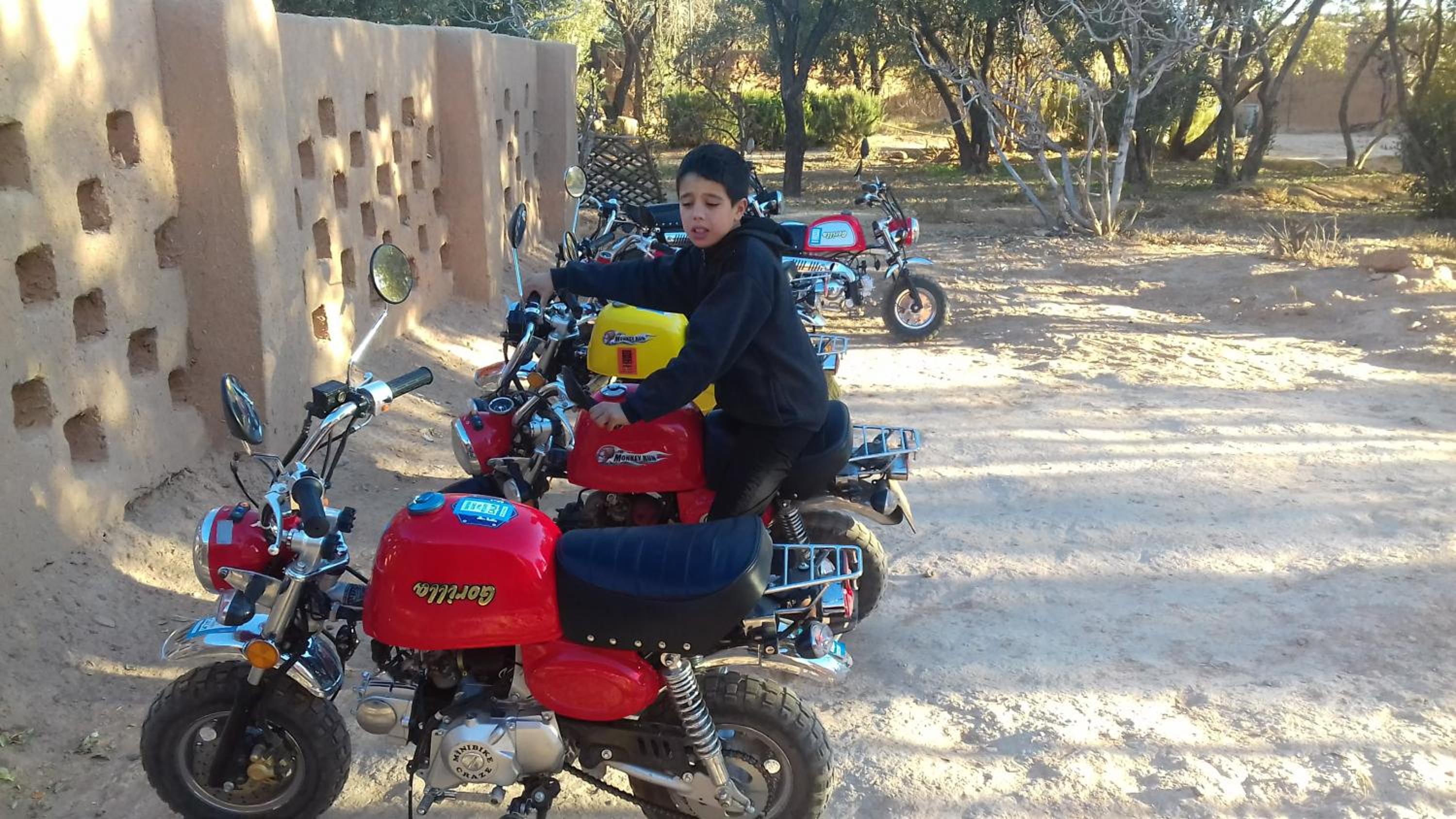 activities & amenities