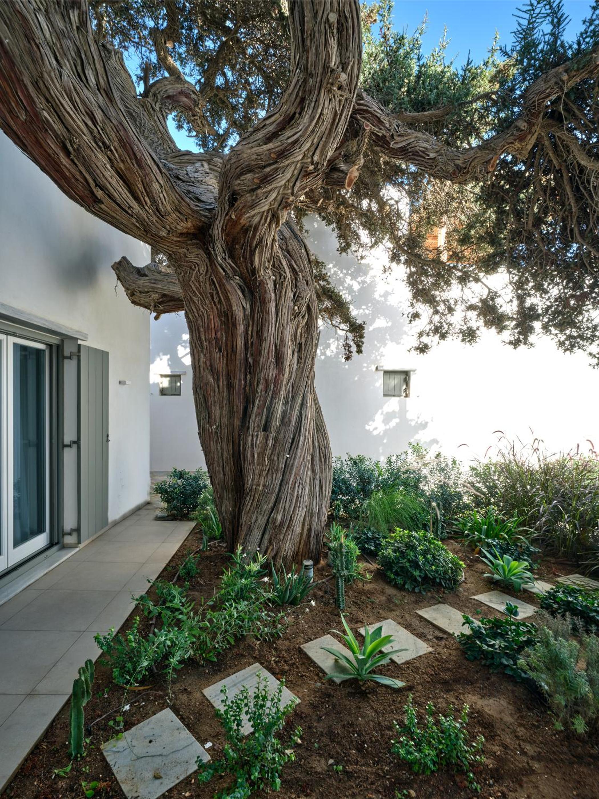 Private Luxury Scarlet beachfront villa, Molos, Paros