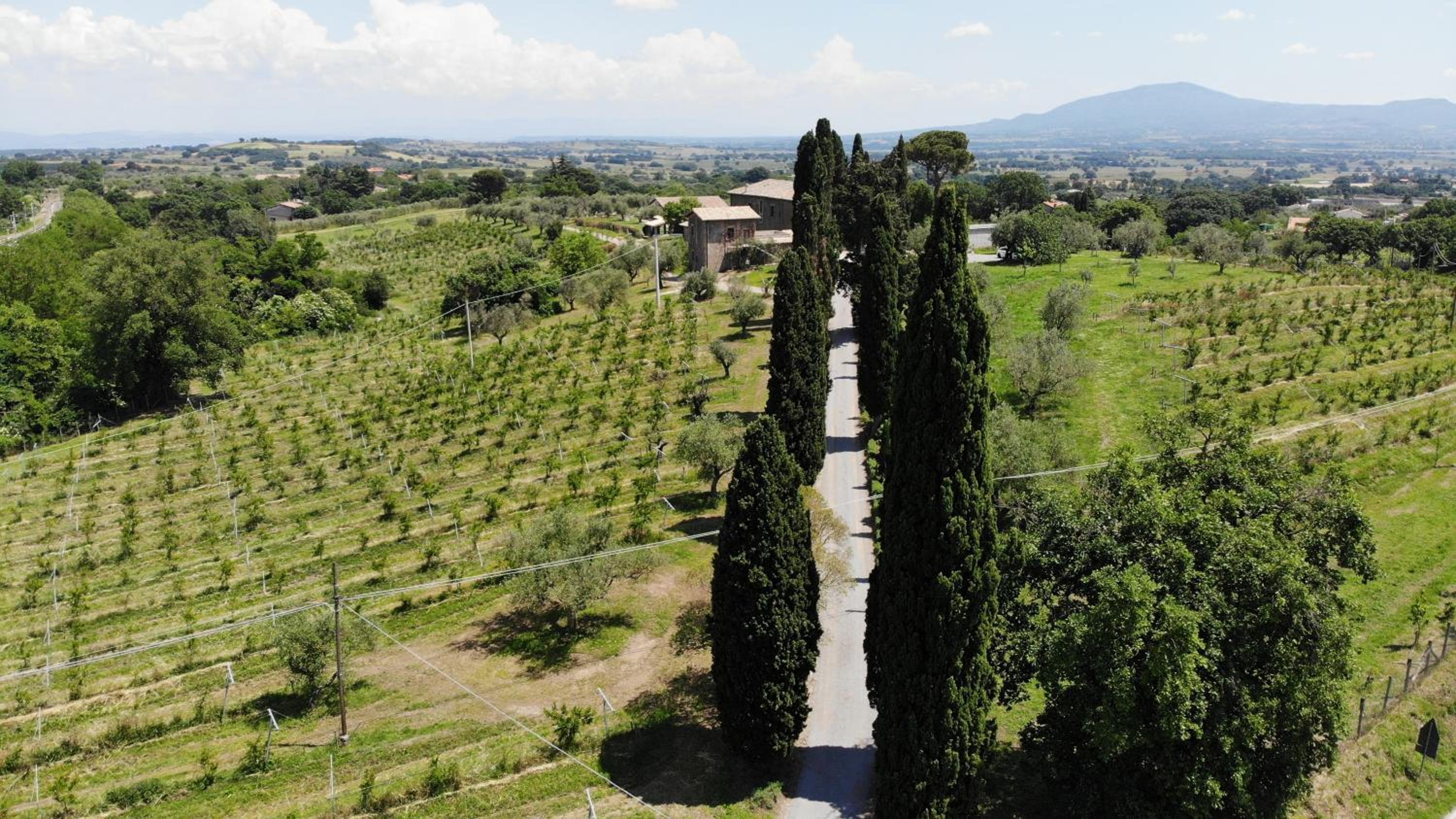 Villa Paladini