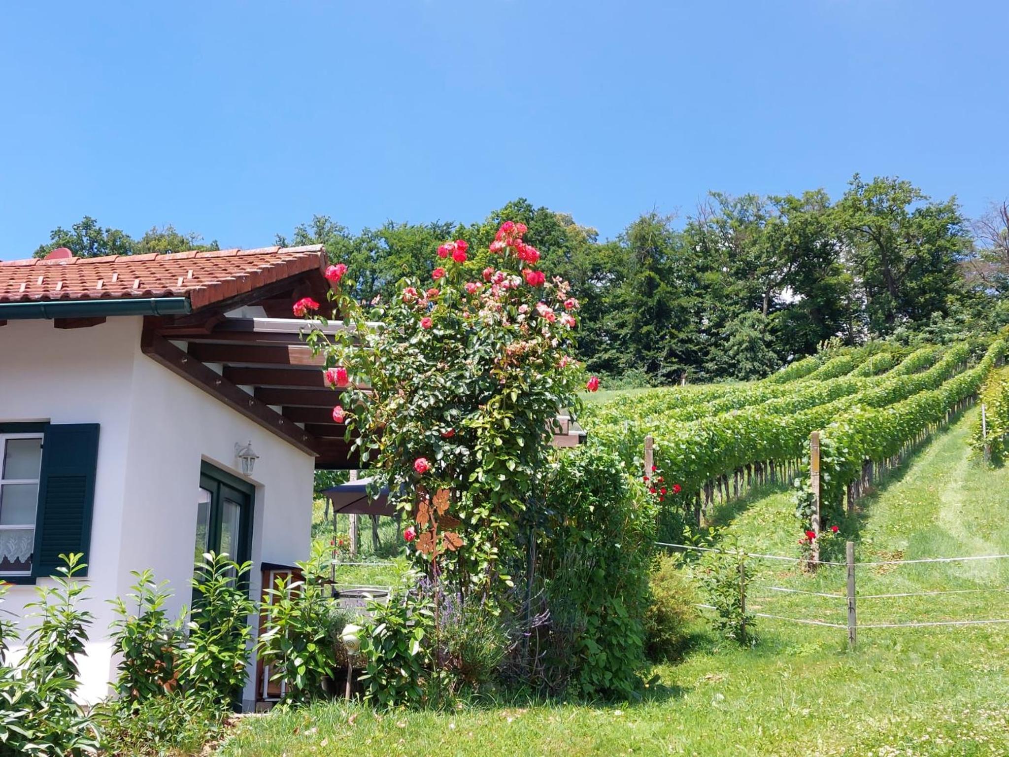 Wein & Wohnen MATZL - Ferienwohnung