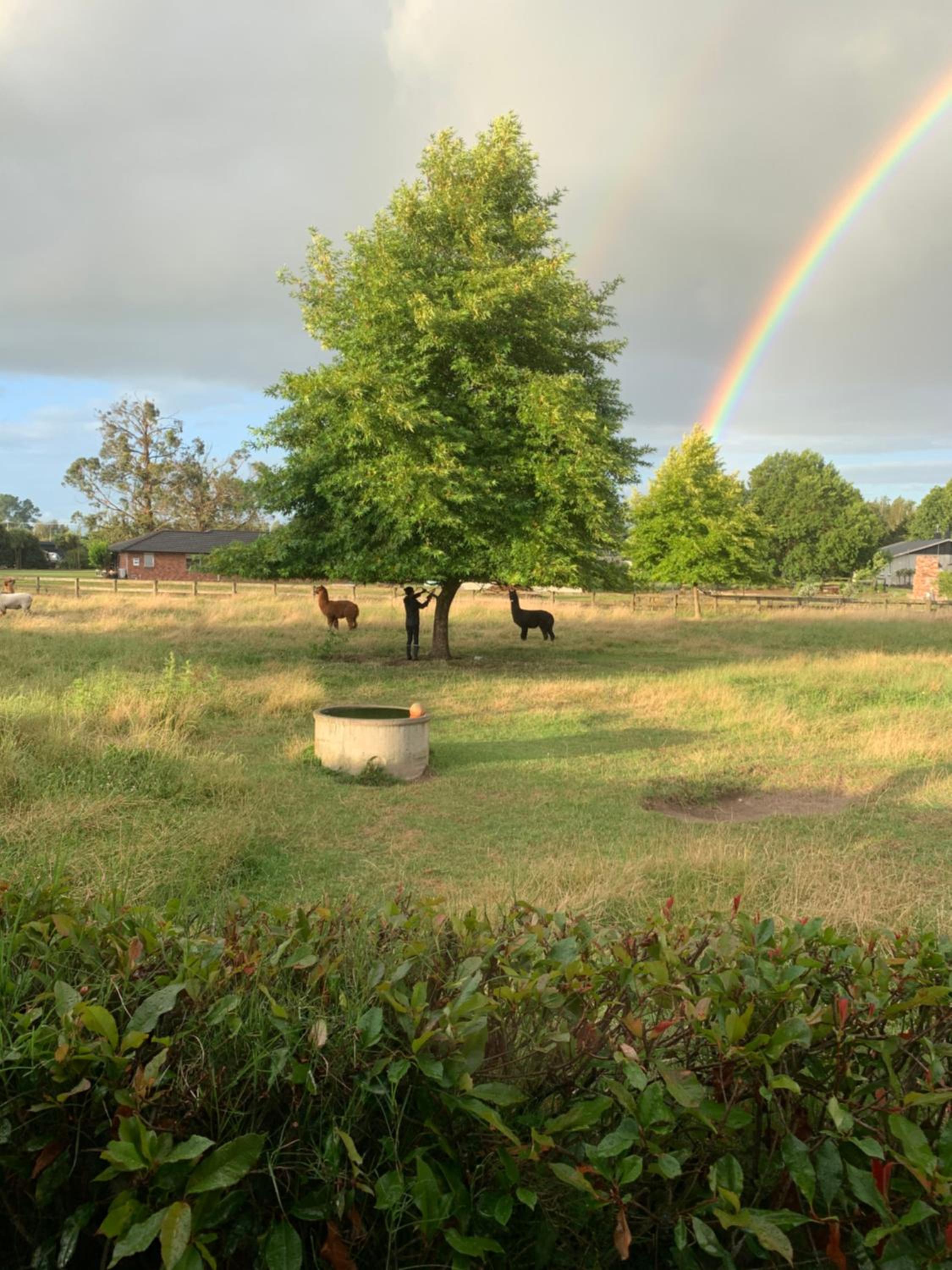 The Red Shed view 3