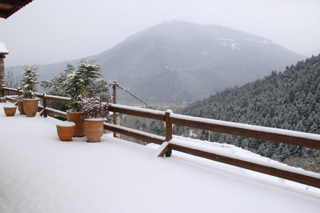 Cozy Mountain Cabin view 4